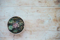 A rustic wooden table displaying a variety of succulent arrangements in earthy-toned pots.