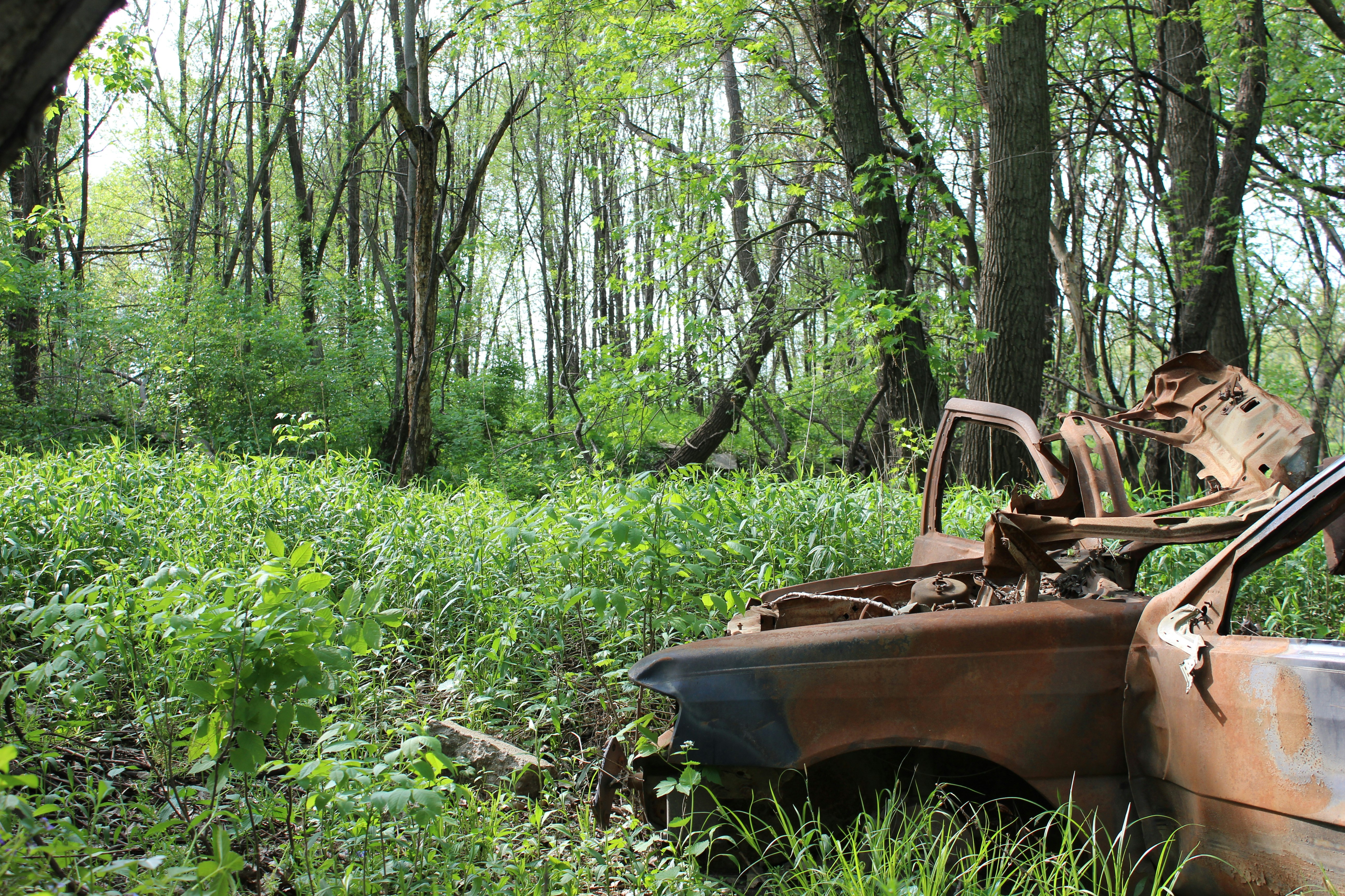 Free Unsplash photo from Brian Sandoval