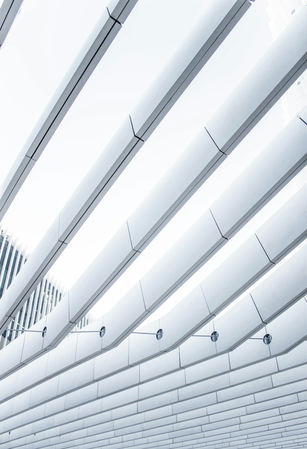 white ceiling during daytime