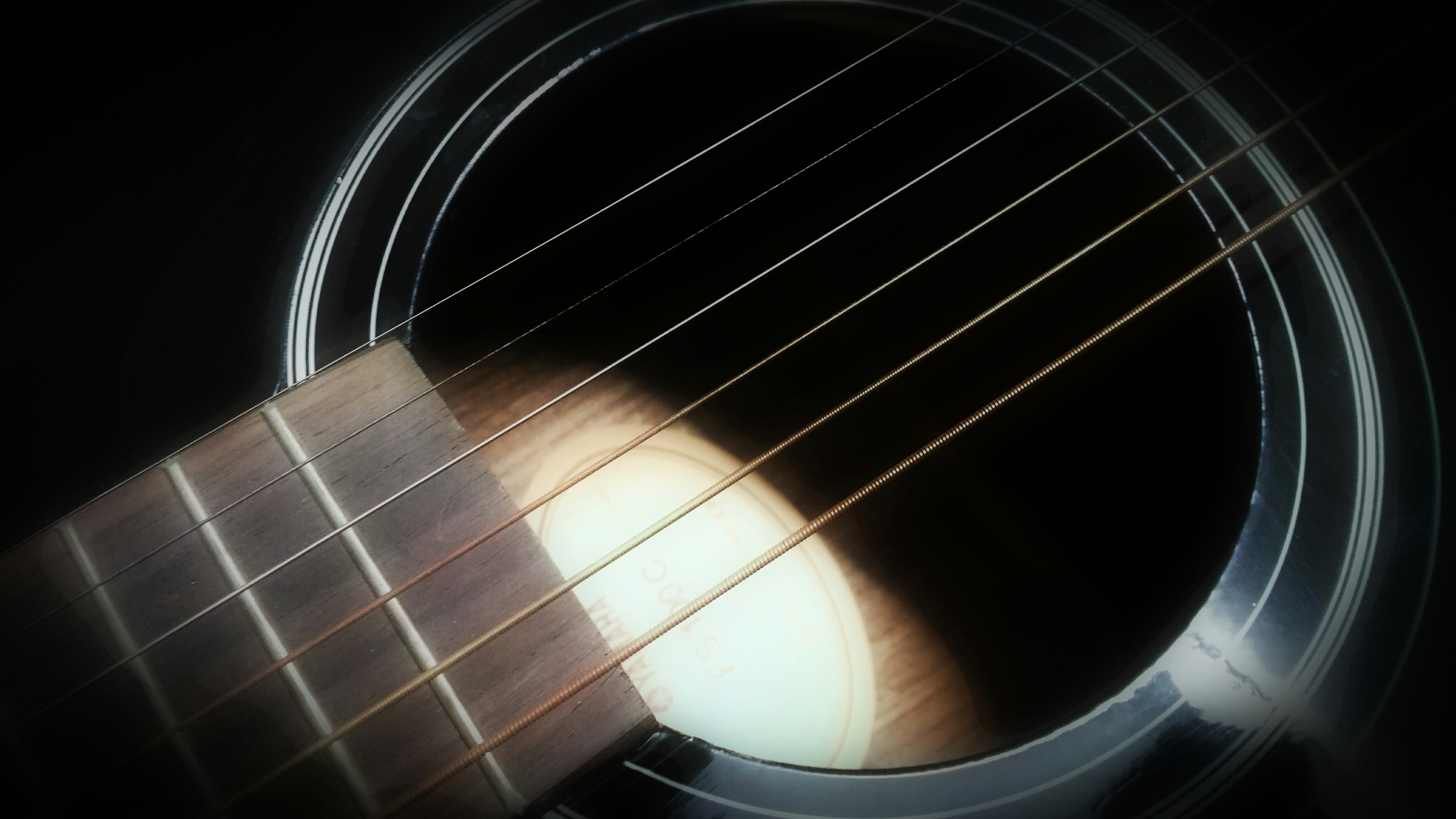 Free Unsplash photo from Uday Bhanu Bose