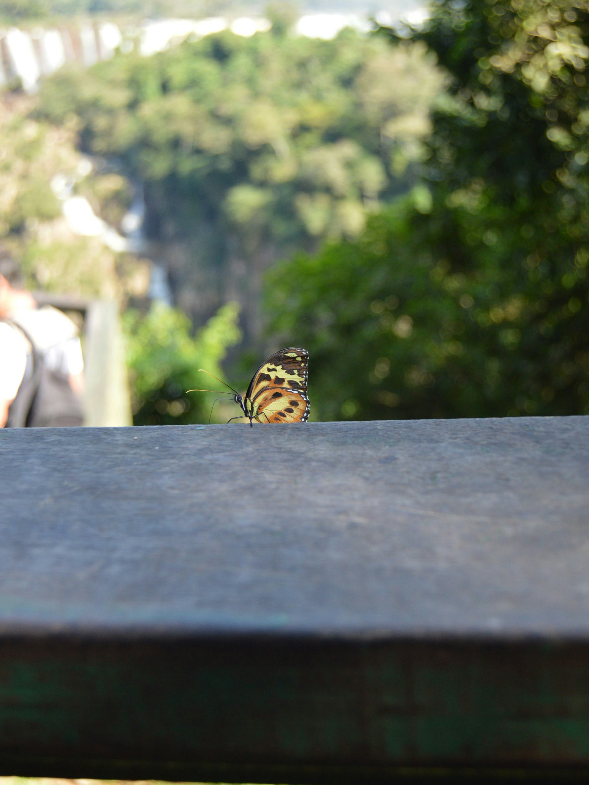 Free Unsplash photo from Claudia Comaru