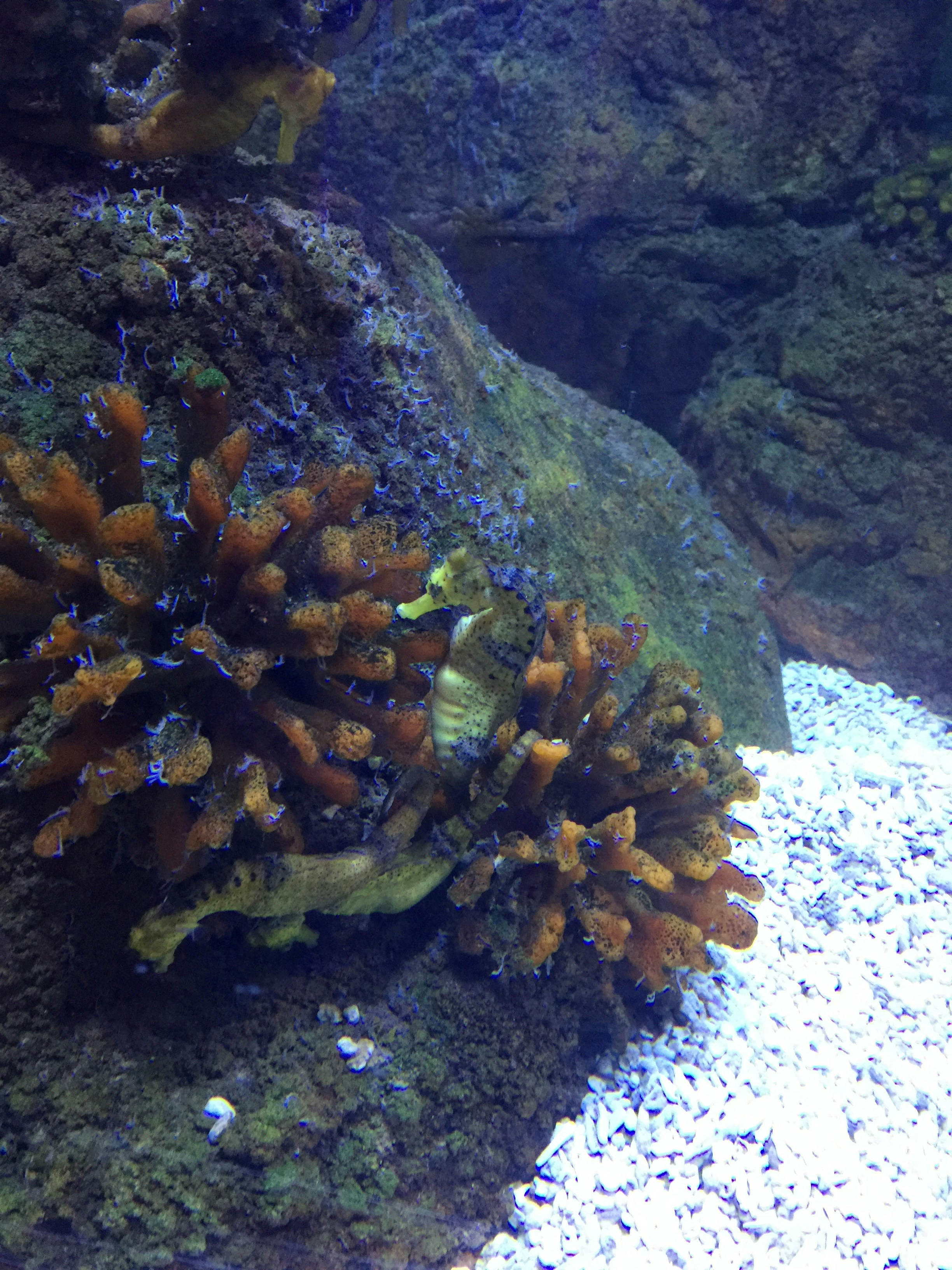 Free Unsplash photo from Chelle McCann