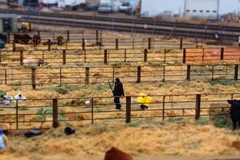 A farm-like setting with several fenced enclosures containing hay. Cows are grazing, and a person is pushing a yellow wheelbarrow or cart. The background shows industrial elements such as train tracks and buildings.