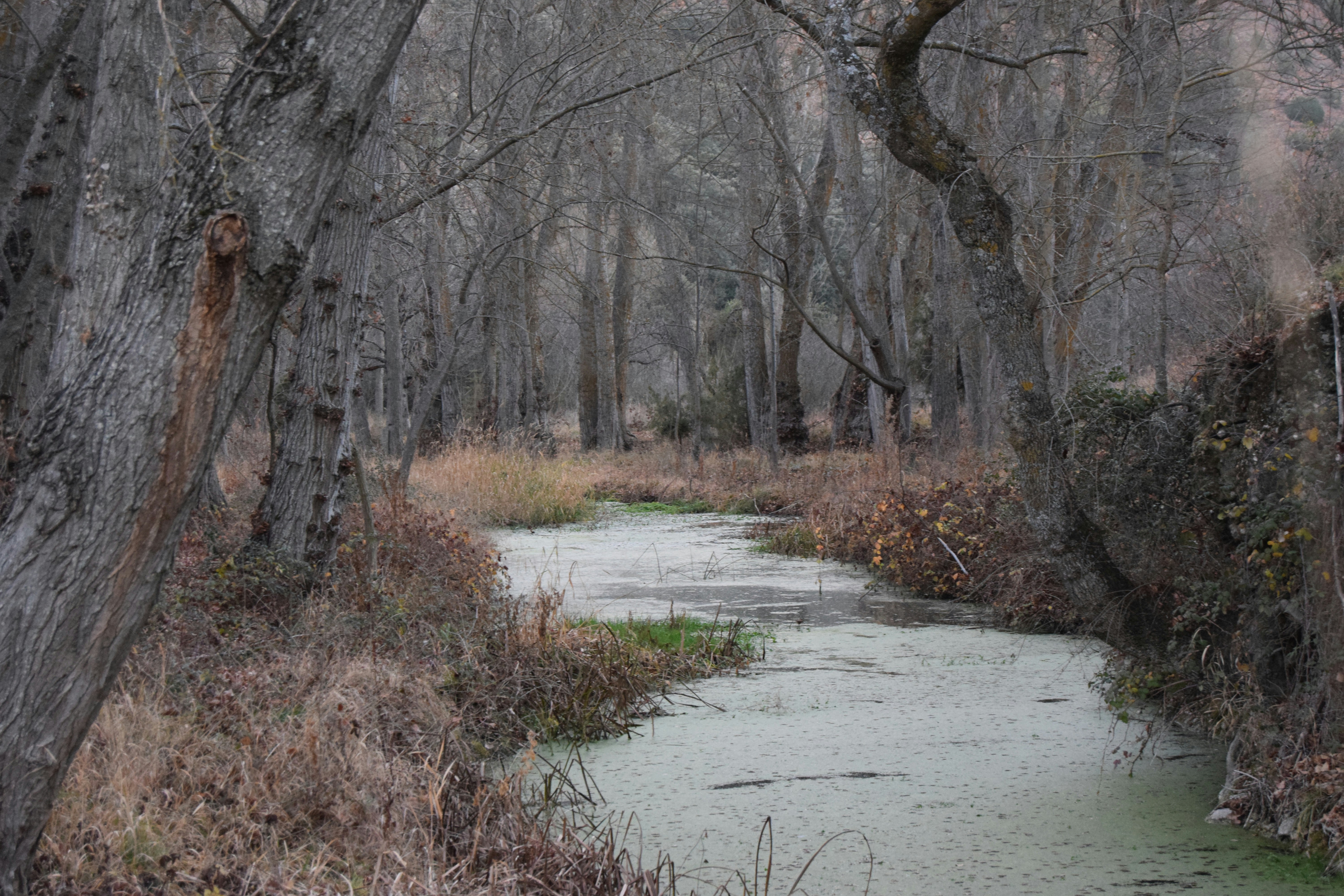 Free Unsplash photo from Eva Herrero