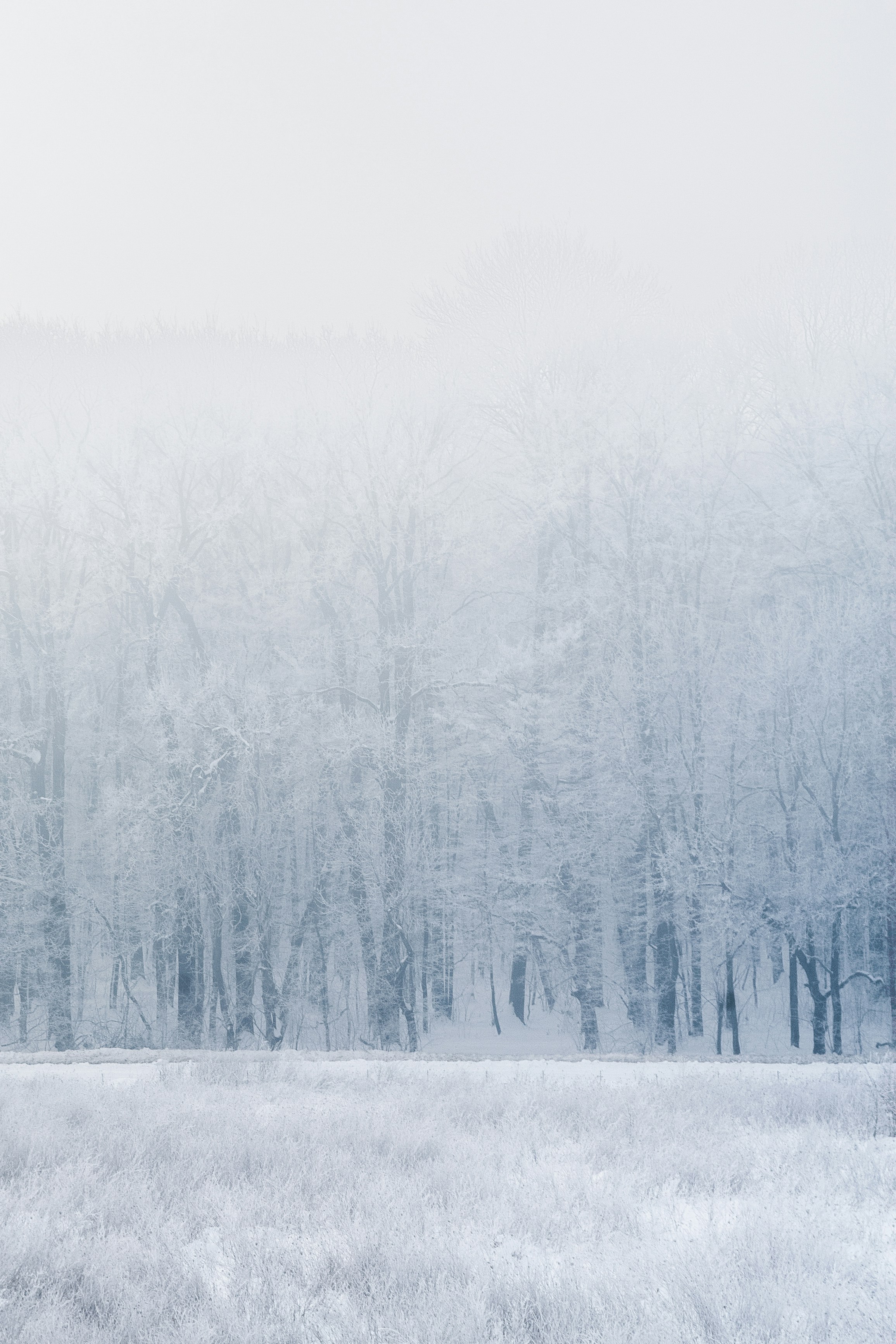 Free Unsplash photo from Eric Nastase