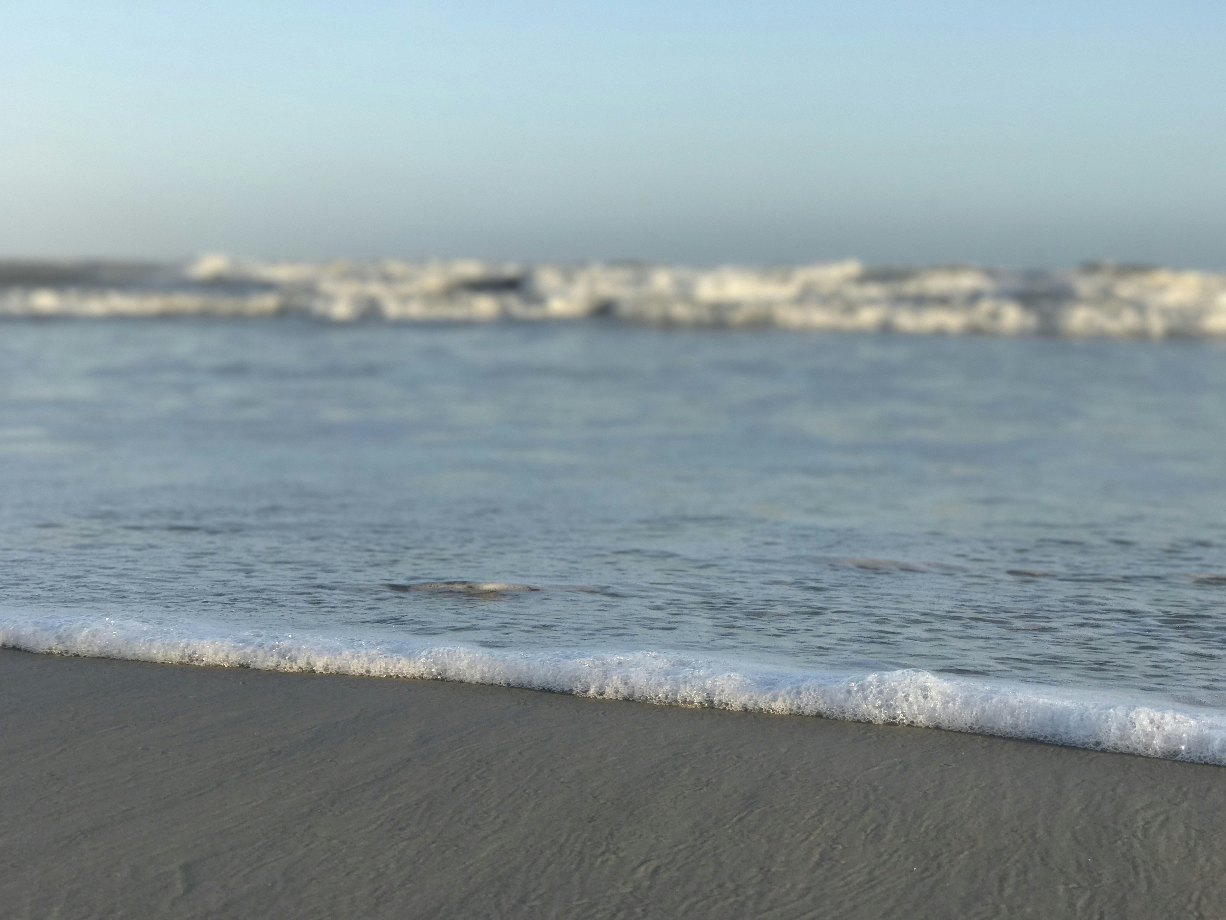 Free Unsplash photo from Matt Noble