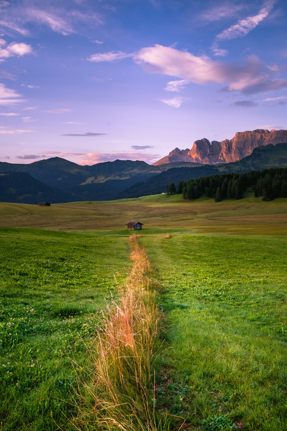 green grass field near mountain under blue sky during daytime