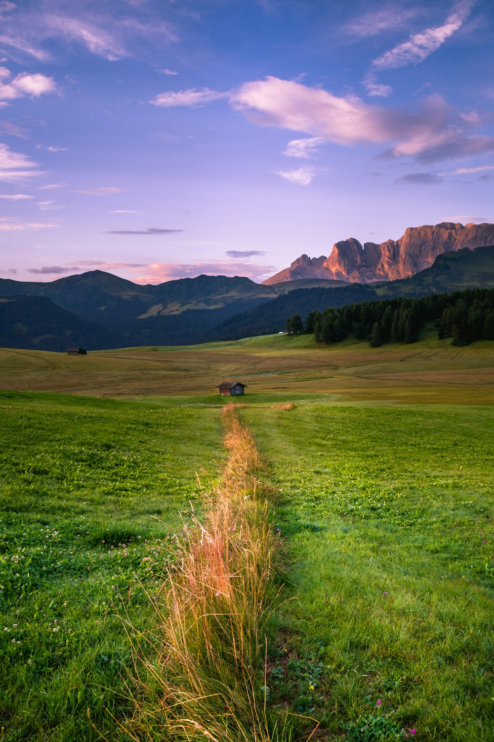 green grass field near mountain under blue sky during daytime photo – Free  Nature Image on Unsplash