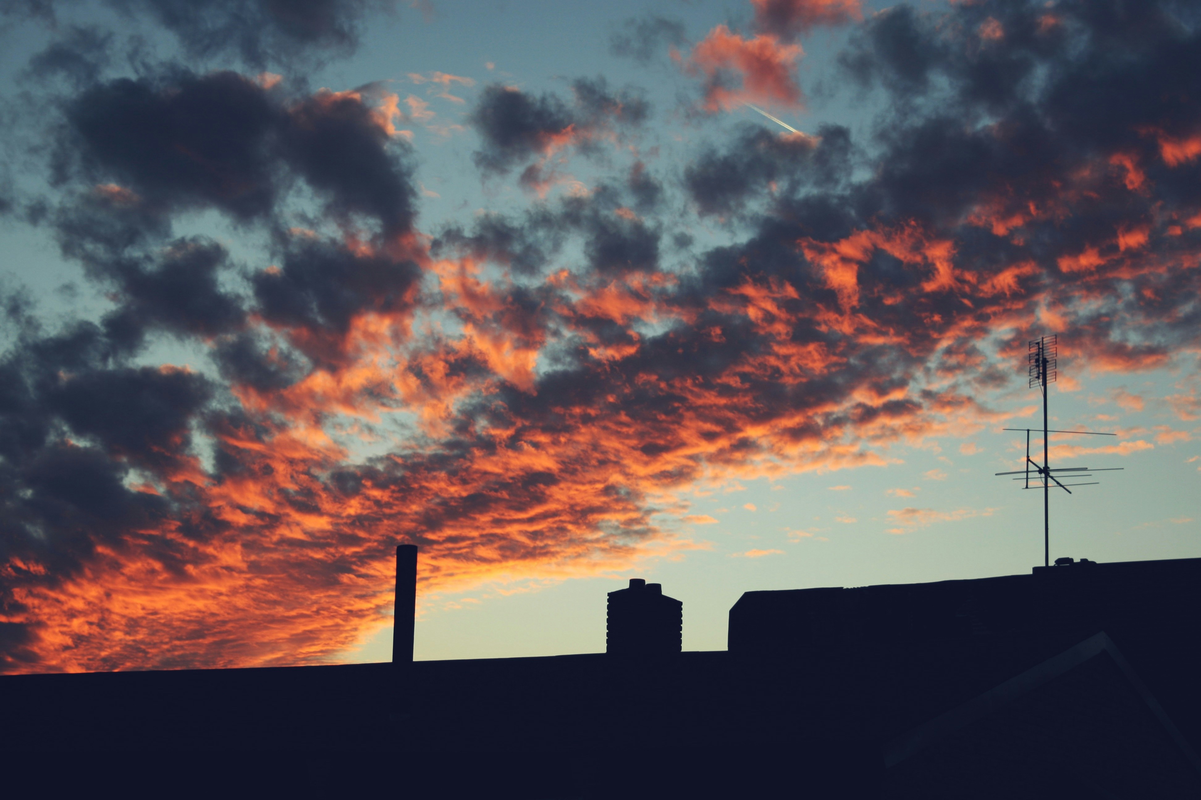 Free Unsplash photo from Jorien T