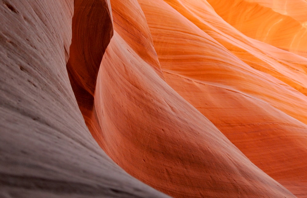 Grotte d’Antelope