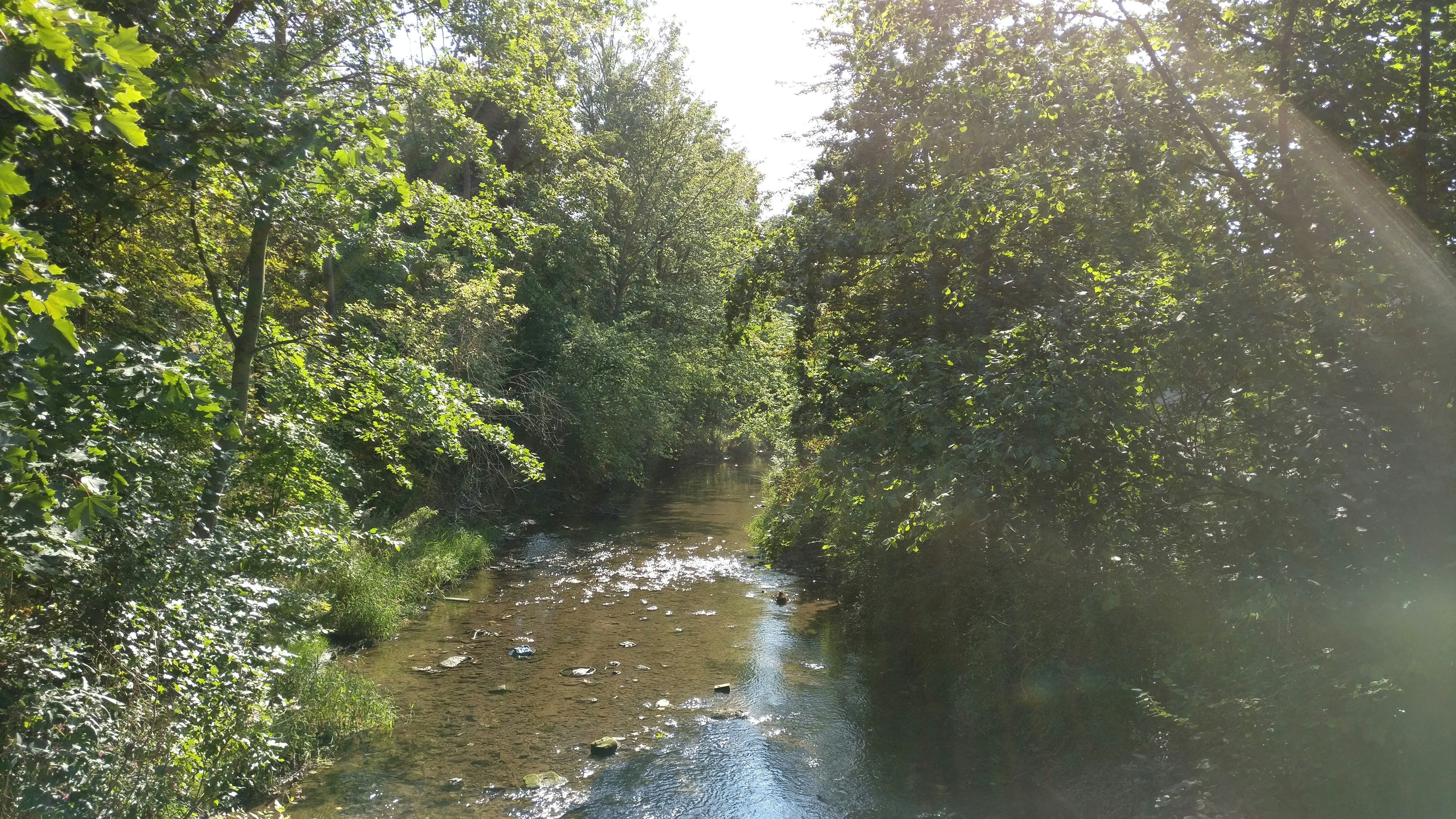 Free Unsplash photo from Luca Voges