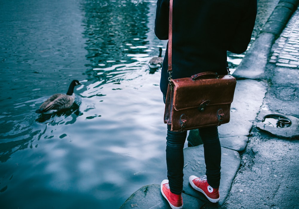 person standing near pond with ducks