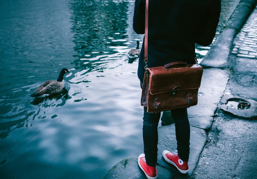 Persona de pie cerca del estanque con patos