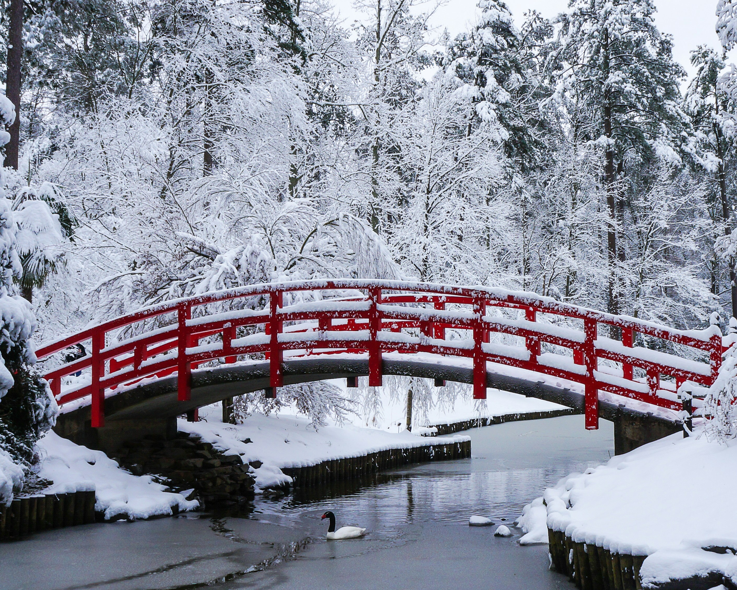 Free Unsplash photo from Callistus Ndemo