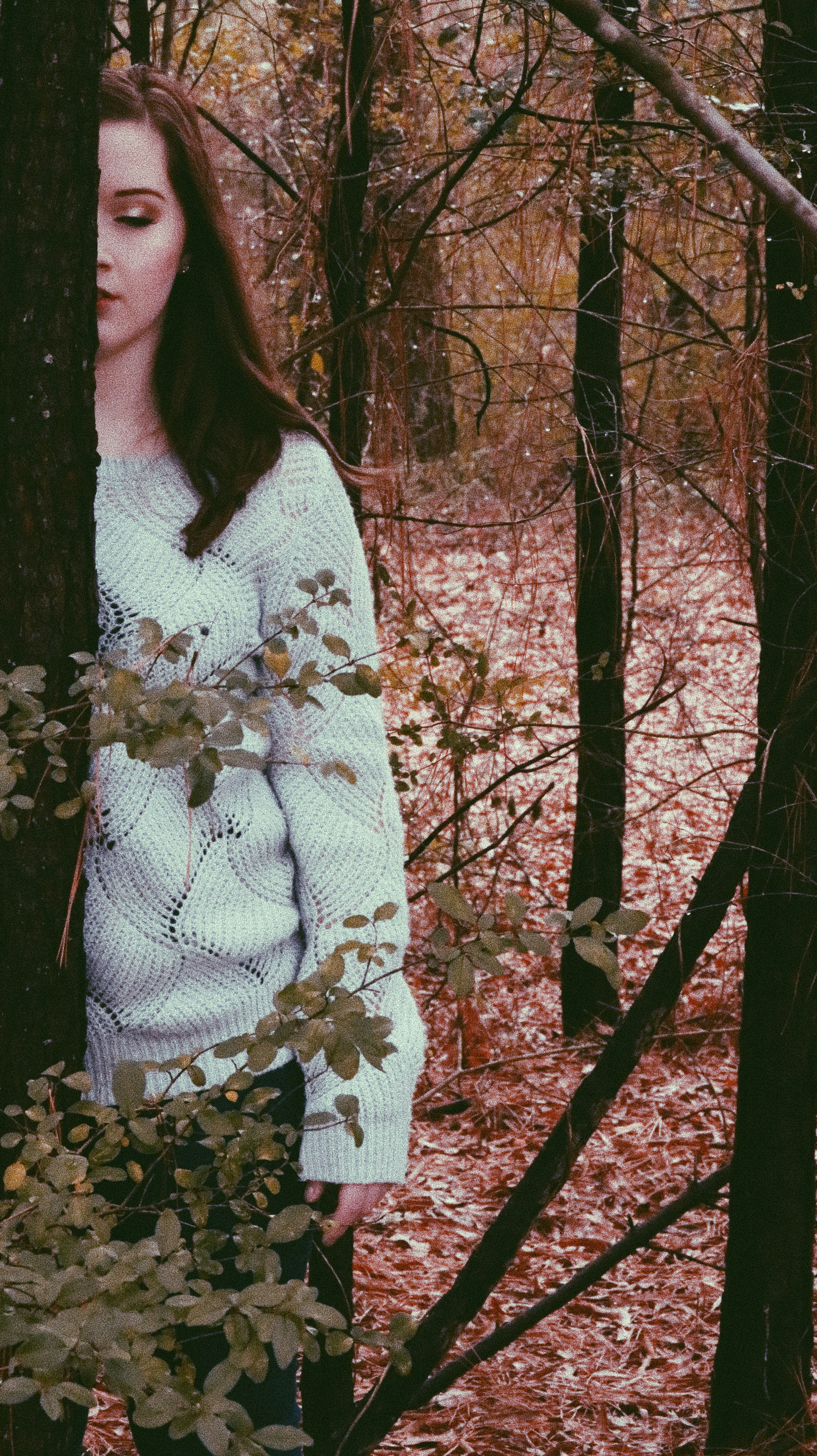 Free Unsplash photo from Gabe Miller