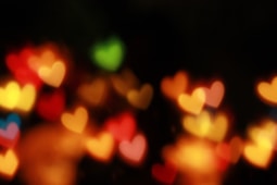 hearts bokeh photography