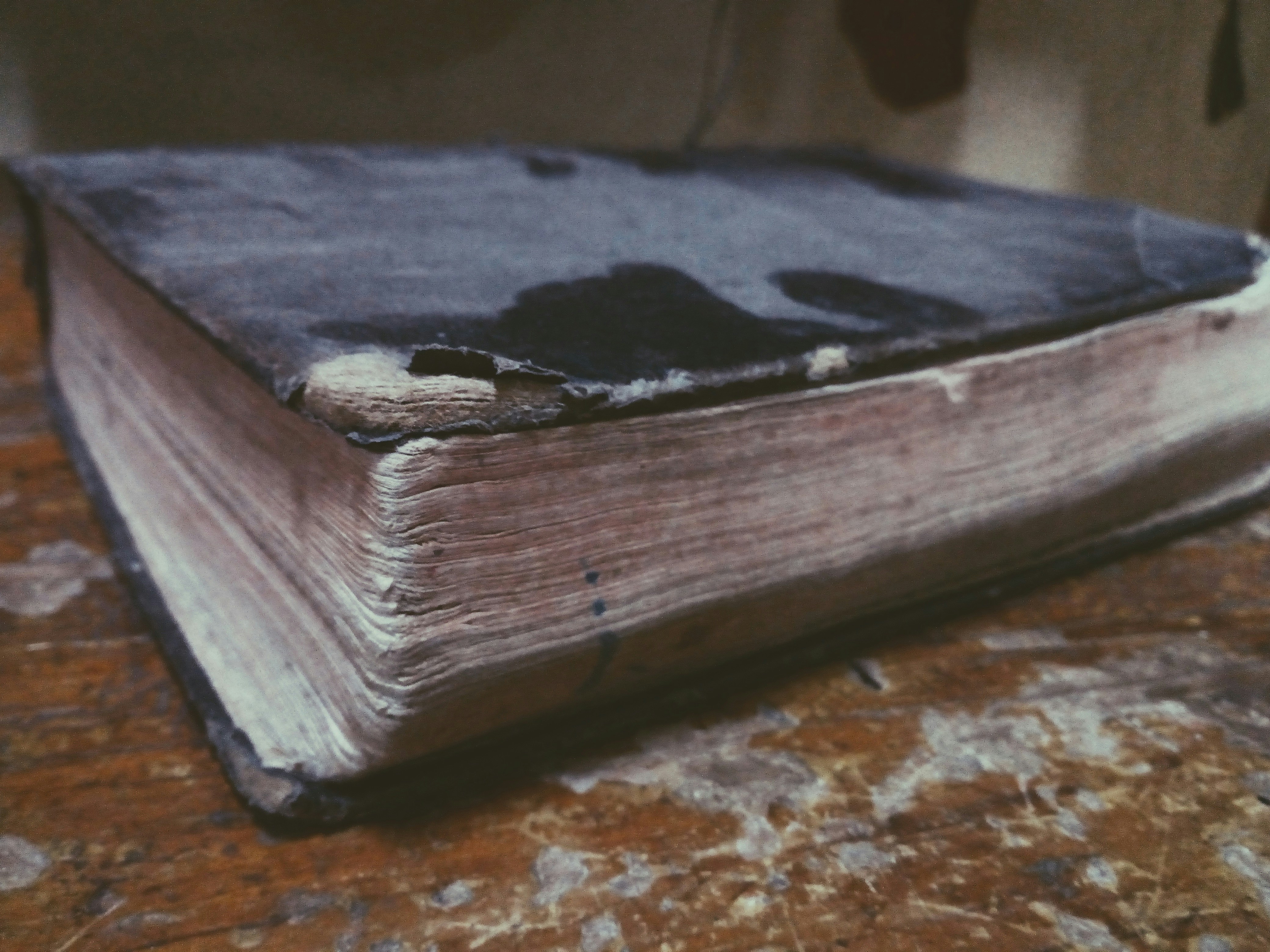 Free Unsplash photo from Israel Barán