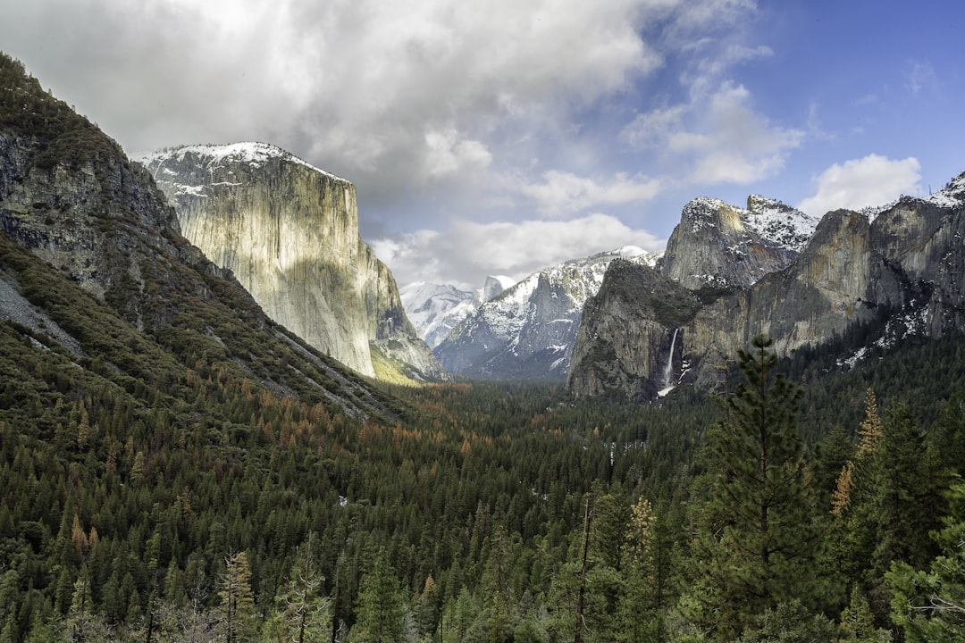 landscape photography of green leaf trees and rocky mountains