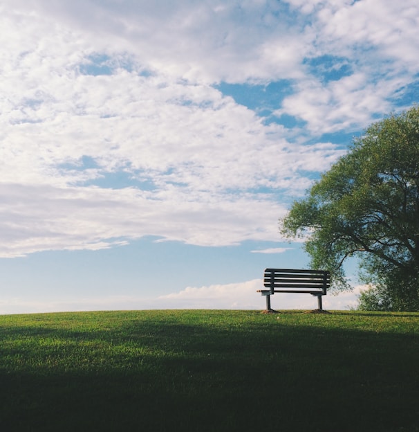 black wooden bench near green leaf trees under white clouds during daytime