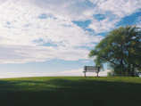black wooden bench near green leaf trees under white clouds during daytime