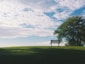 black wooden bench near green leaf trees under white clouds during daytime