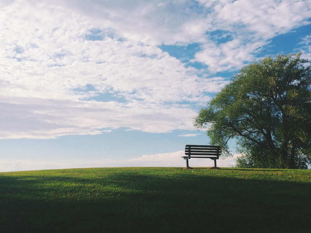 black wooden bench near green leaf trees under white clouds during daytime