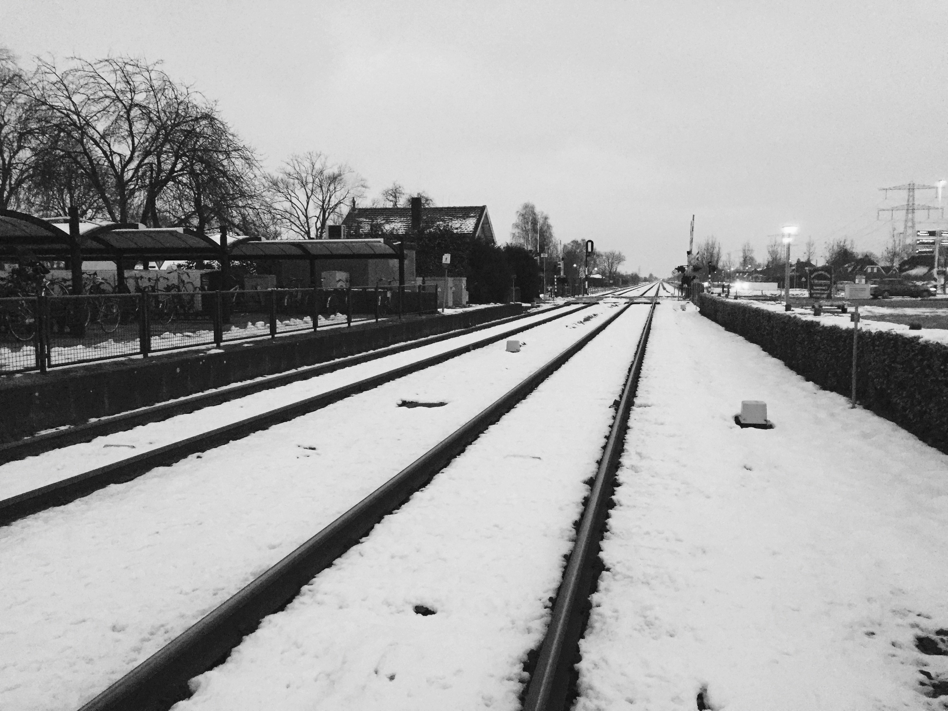 Free Unsplash photo from Jordi van Tuil