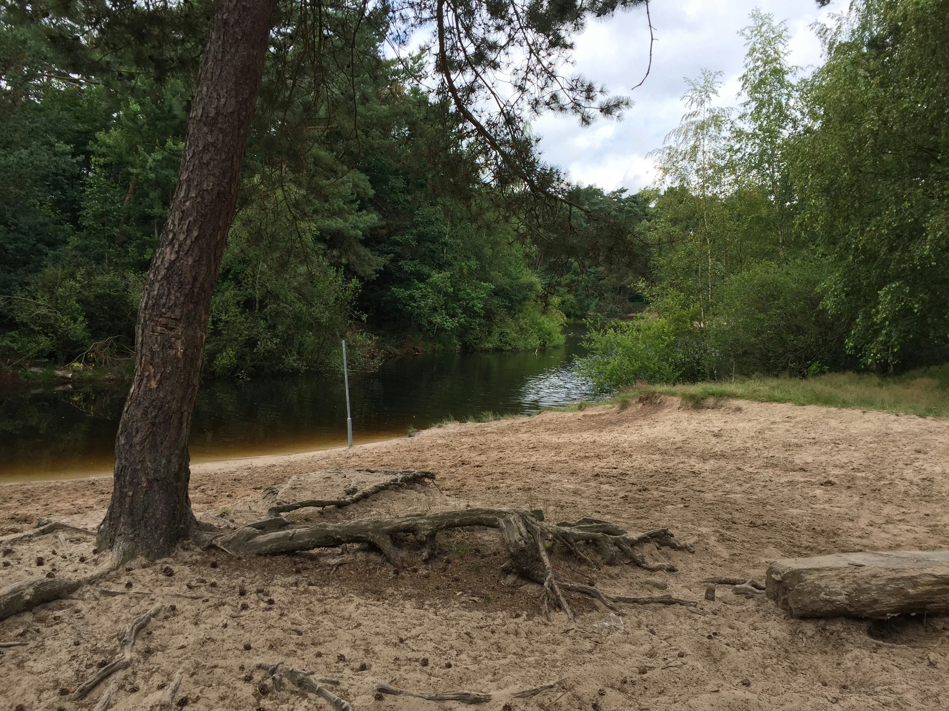 Free Unsplash photo from Jordi van Tuil