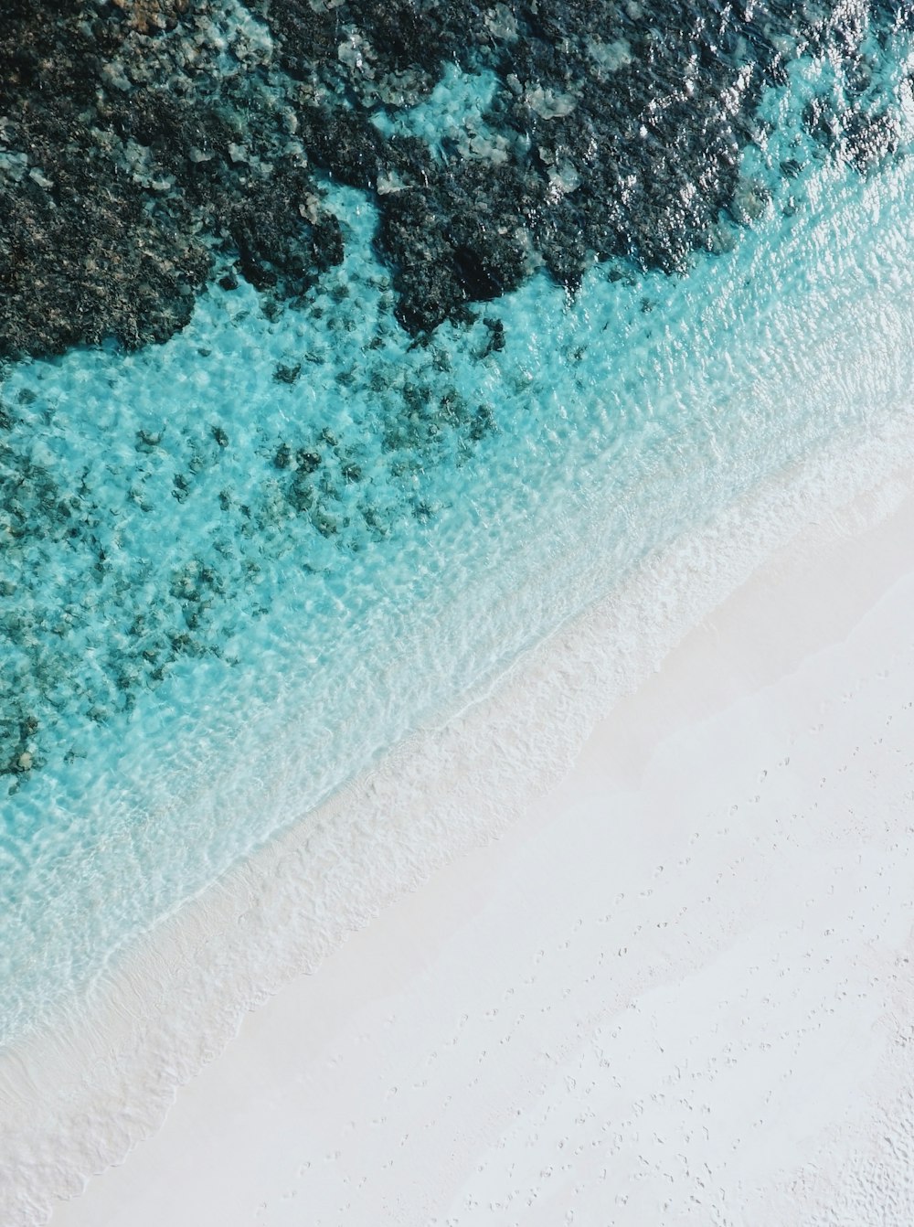 fotografia ad alto angolo di lato della spiaggia