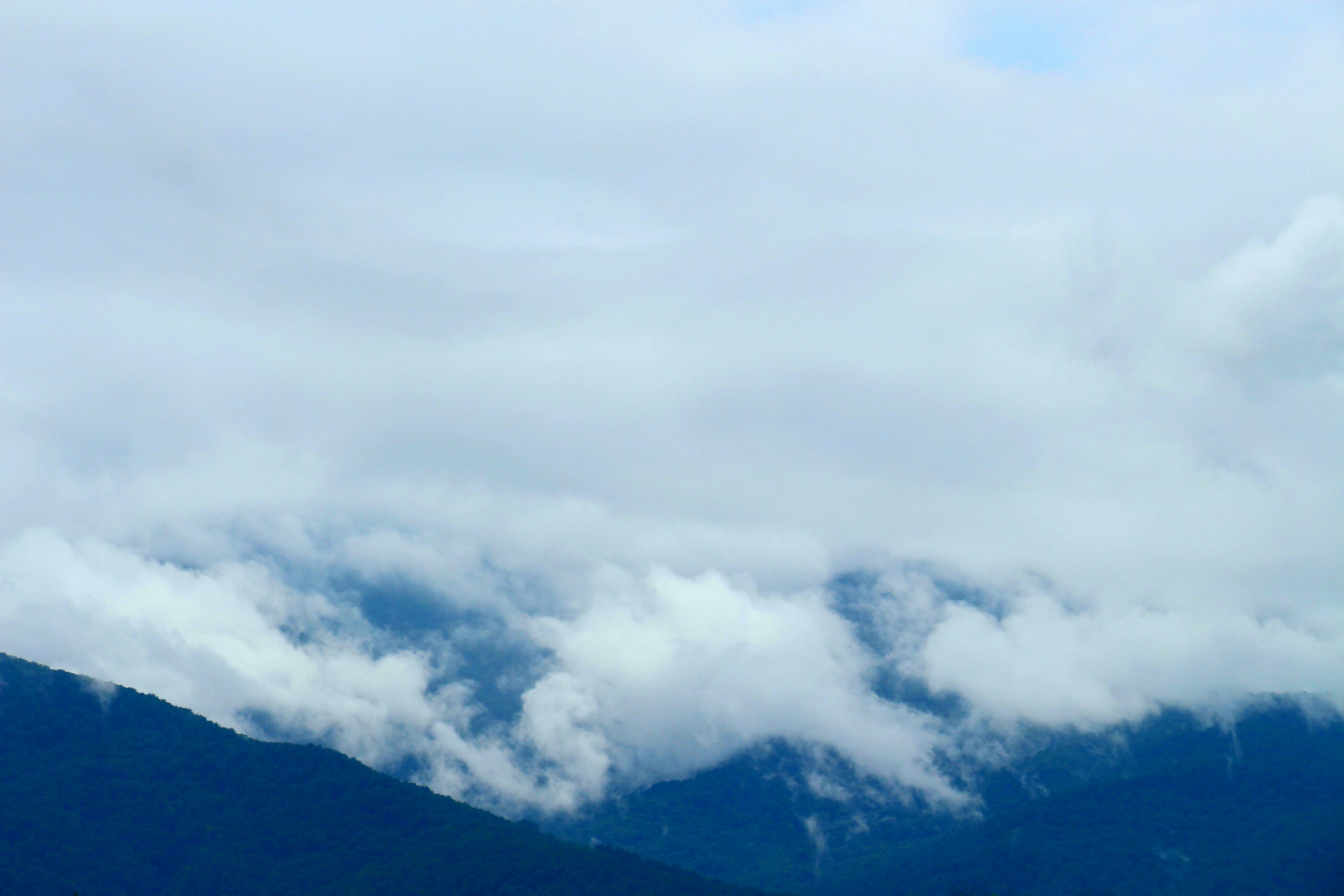 Free Unsplash photo from Aliata Karbaschi