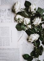 six white roses on white printer papers