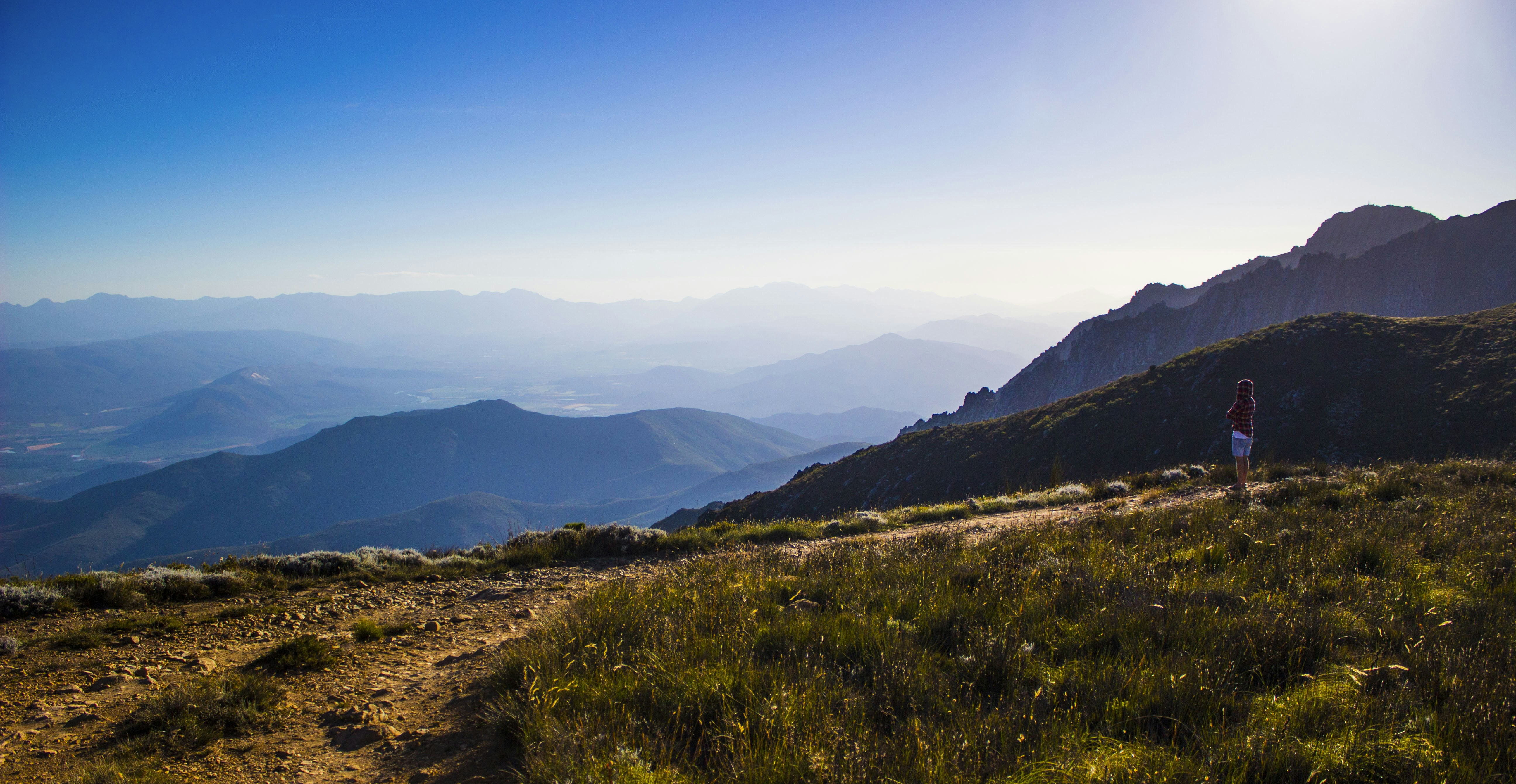 Free Unsplash photo from Matt Sterne