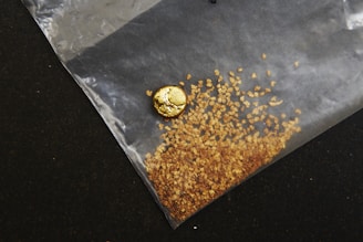 A small pile of gold flakes and a larger gold nugget are placed on a transparent plastic bag against a dark background. The gold pieces vary in size and shape, with the nugget being distinctly larger and rounder.