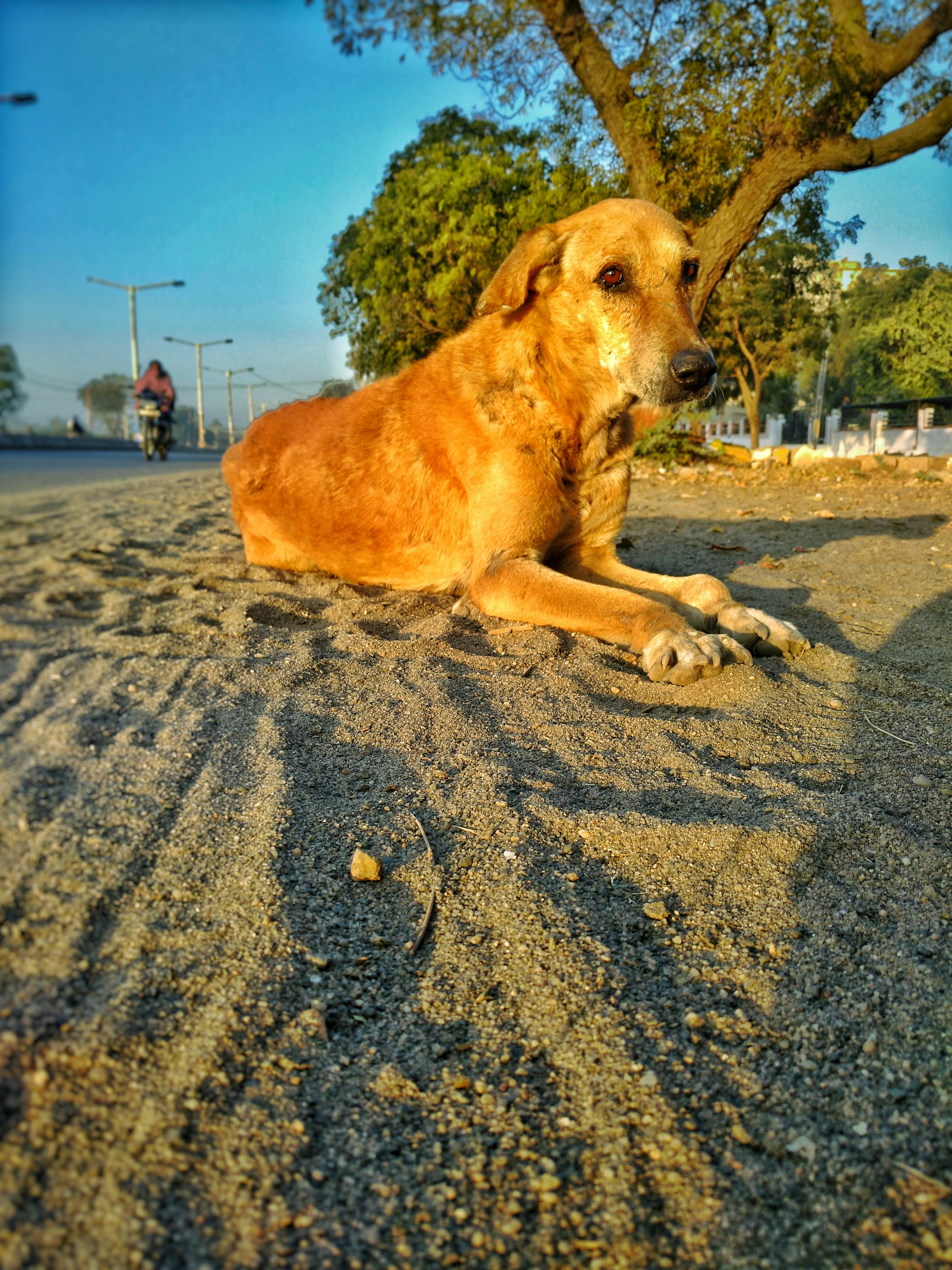 Free Unsplash photo from Tapan Chudasama