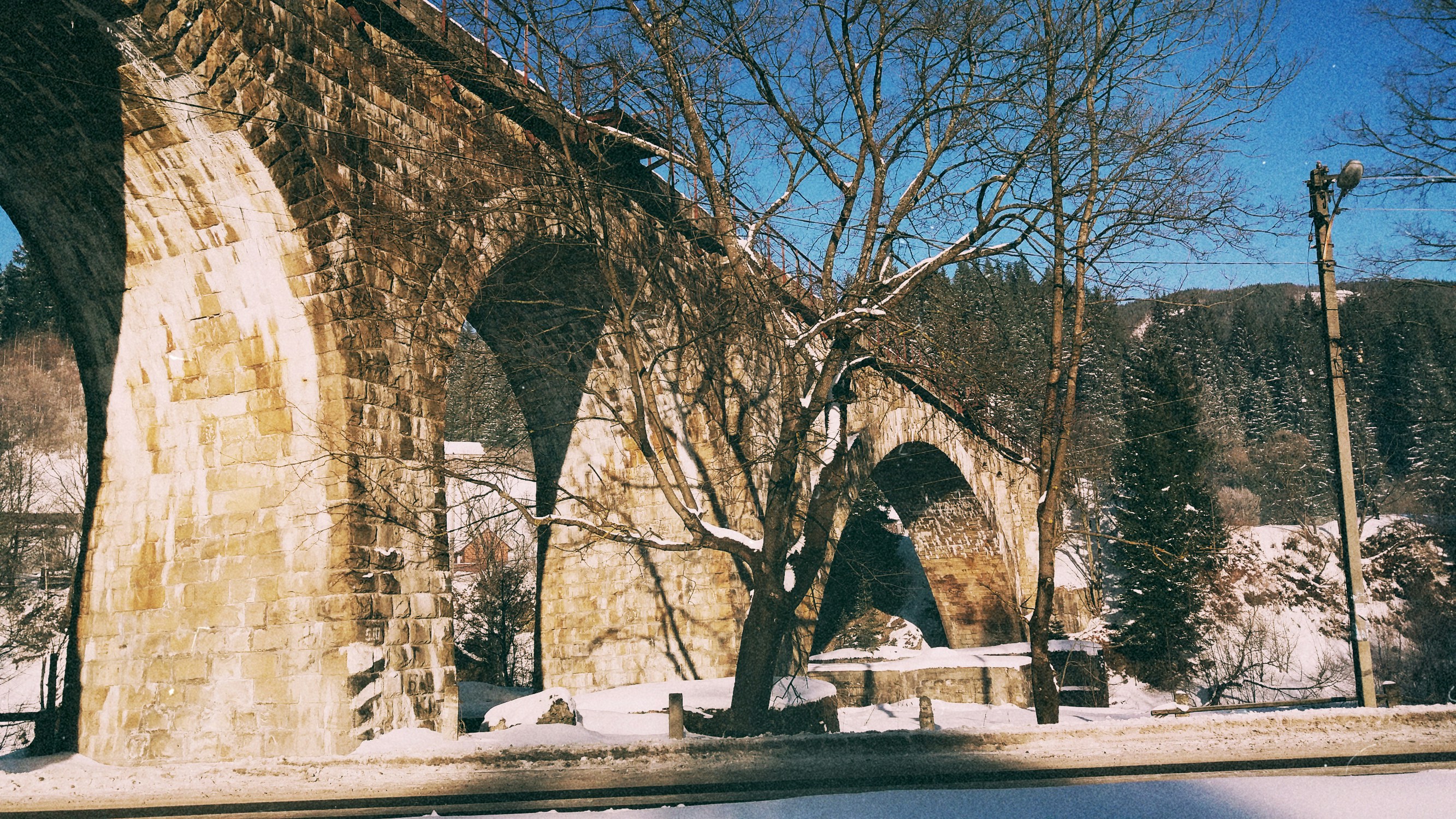 Free Unsplash photo from Maryna Musienko