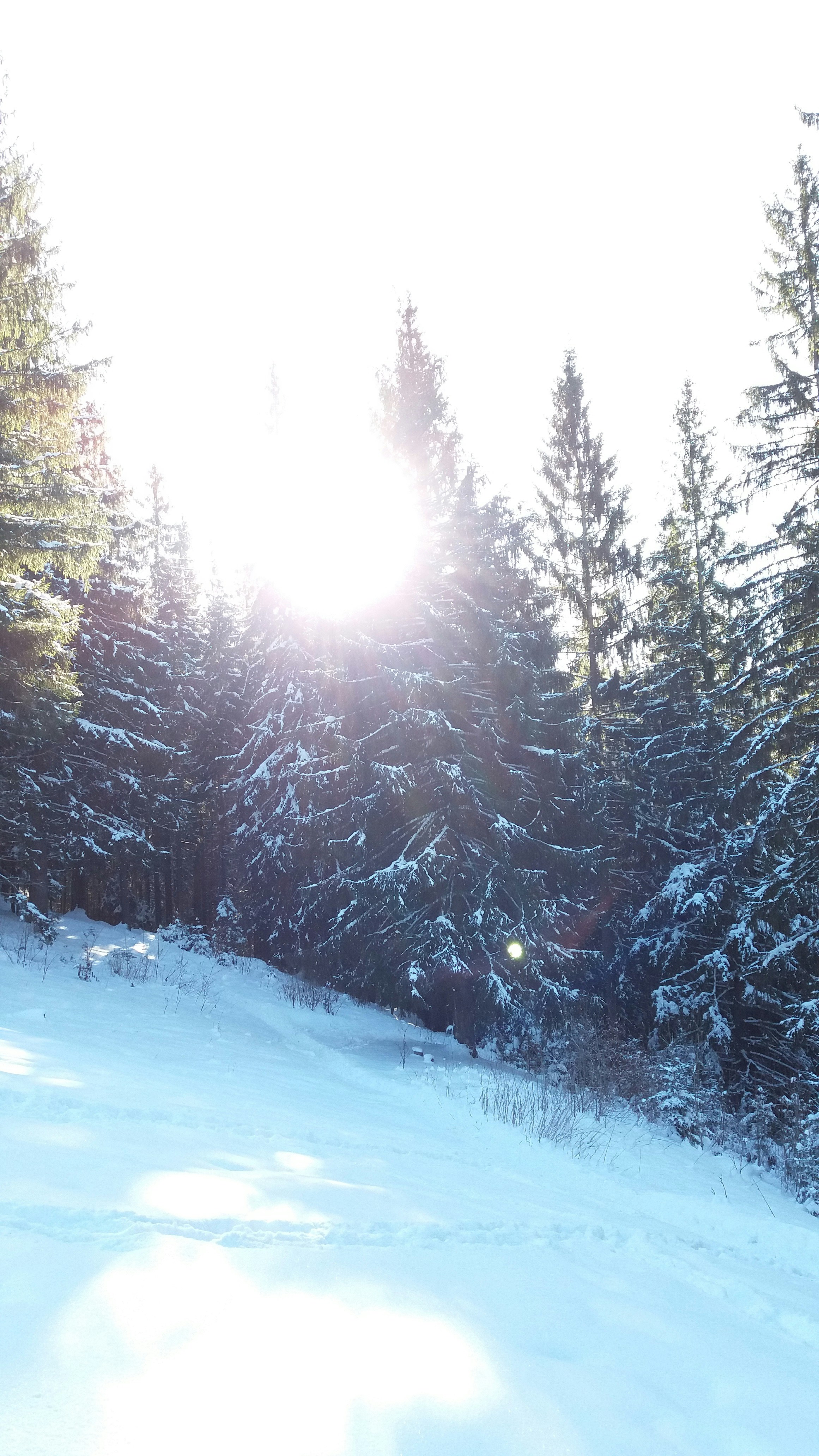 Free Unsplash photo from Maryna Musienko