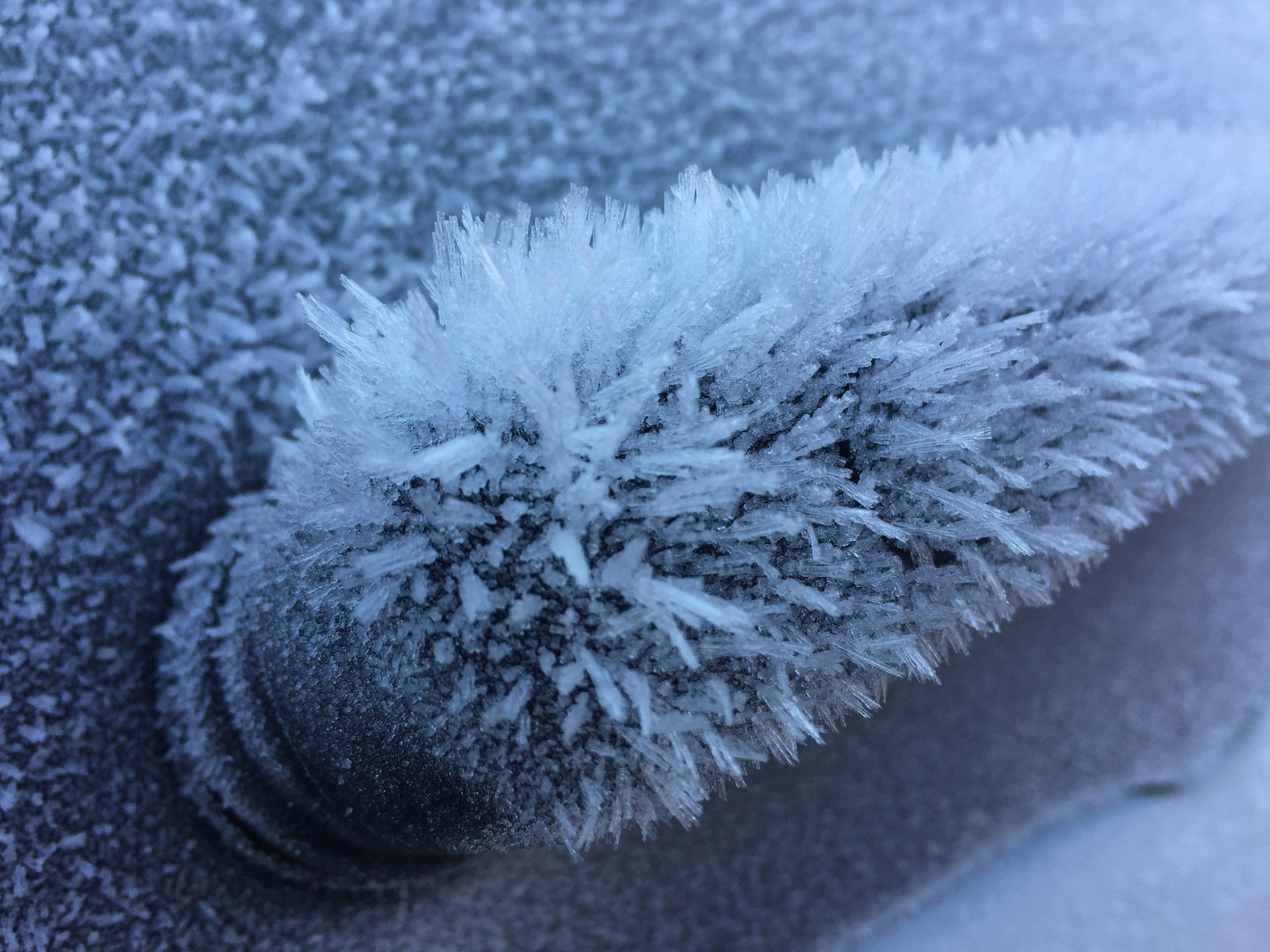 Free Unsplash photo from Martin Holý