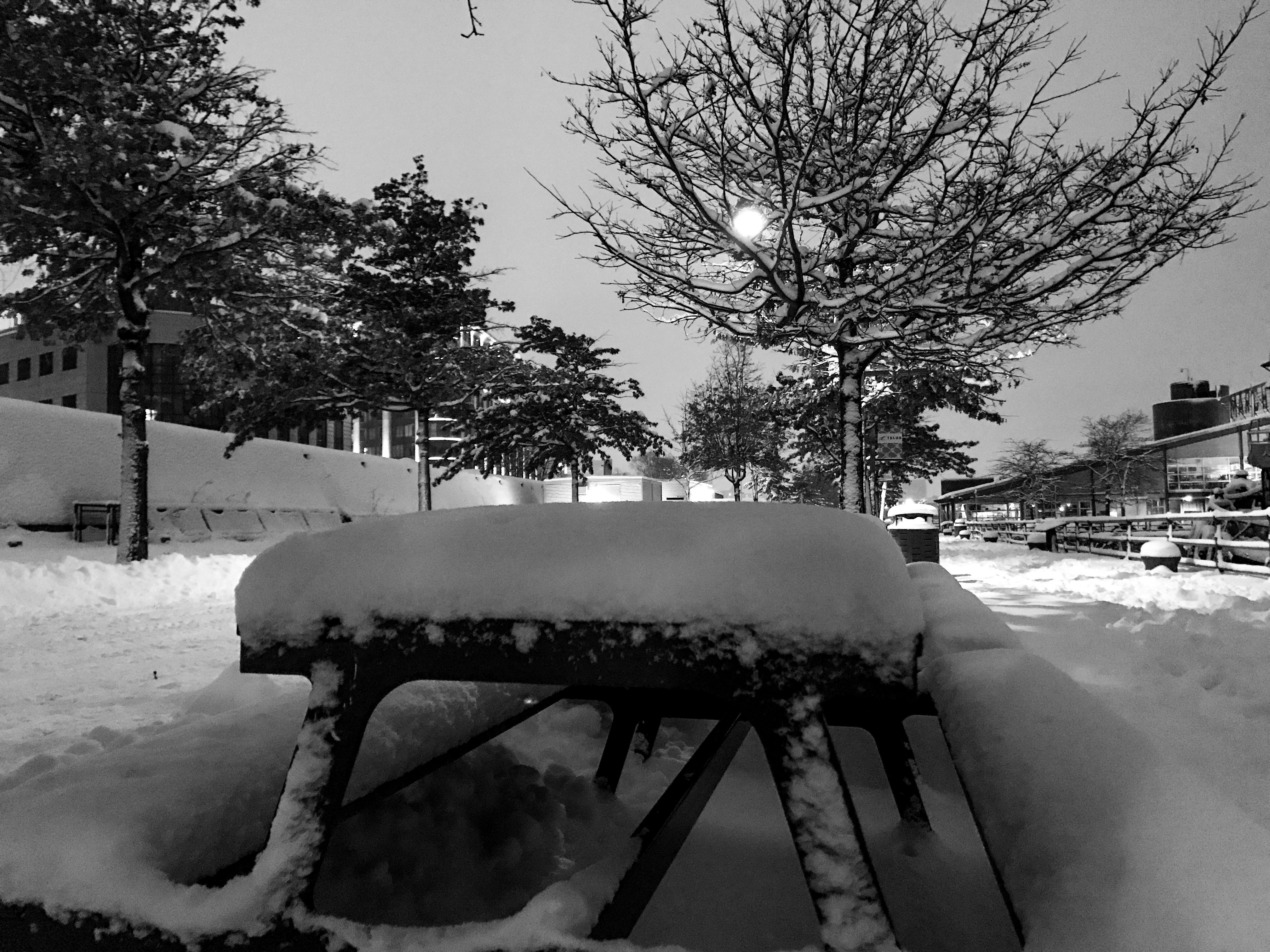 Free Unsplash photo from Cedric Langlais