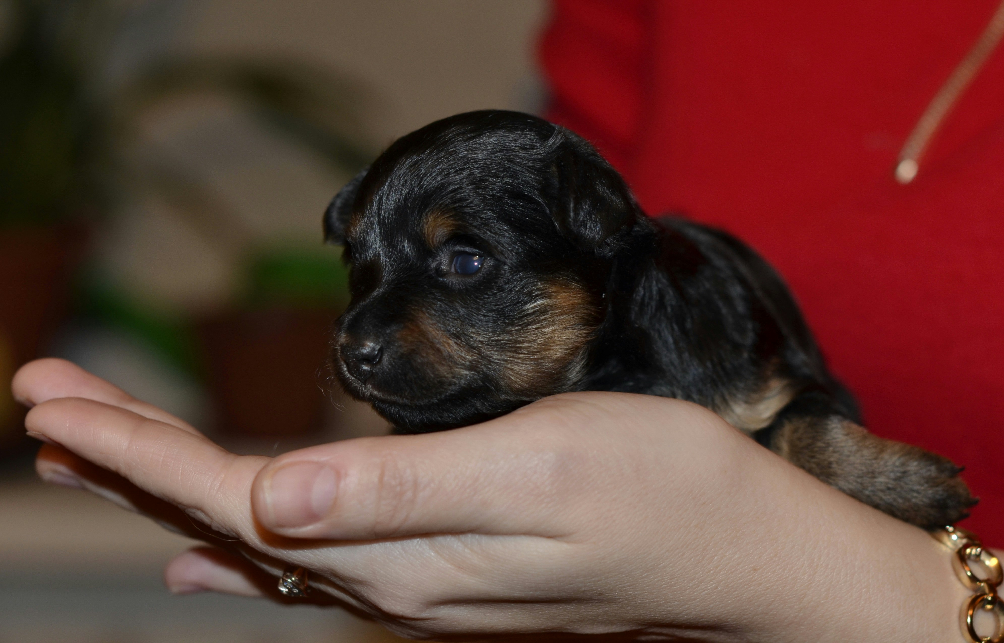 Free Unsplash photo from Mikhail Radin