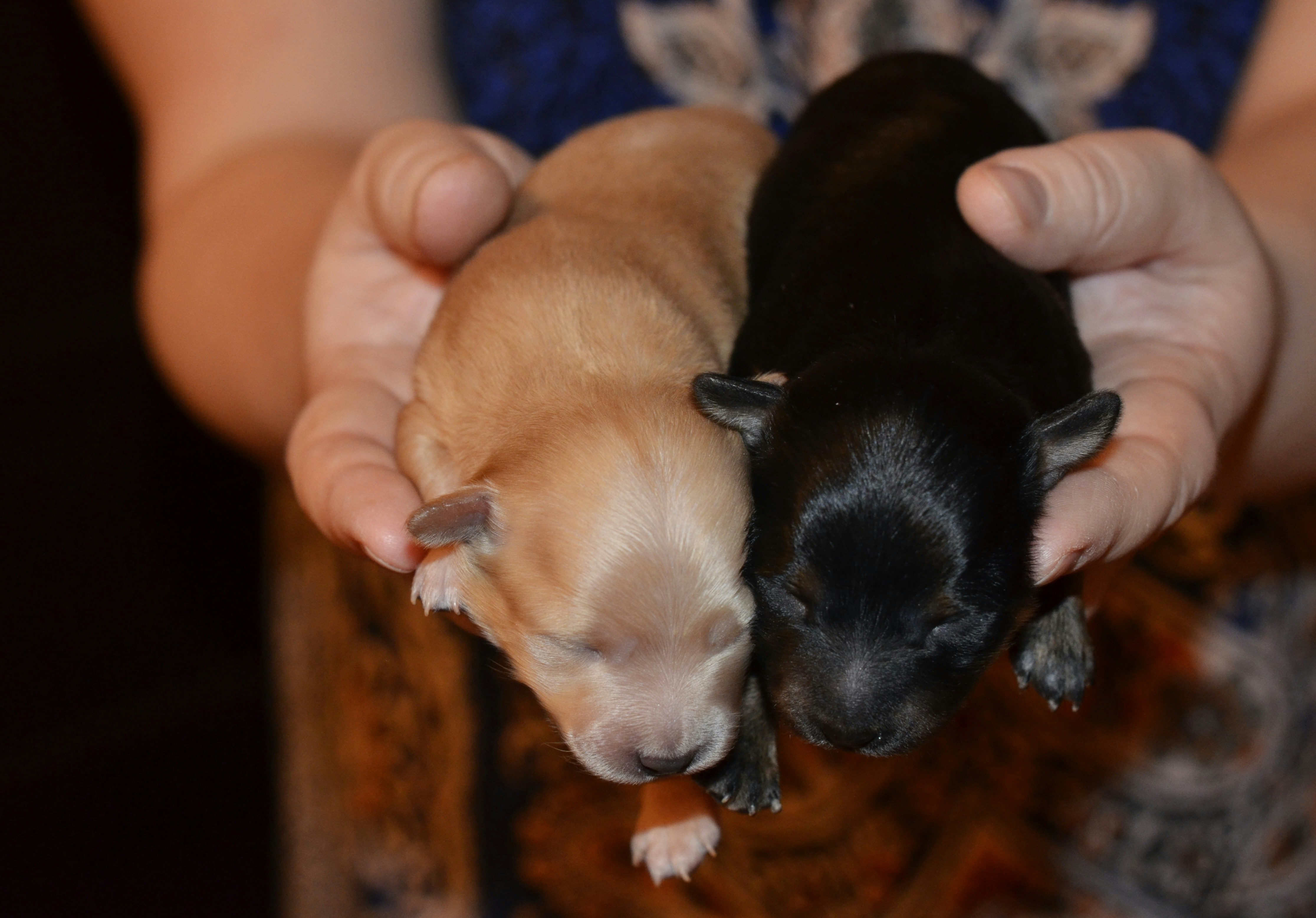 Free Unsplash photo from Mikhail Radin