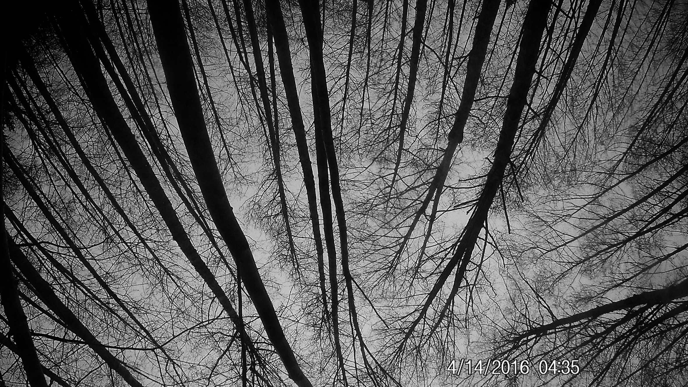 Free Unsplash photo from Mimi Steele