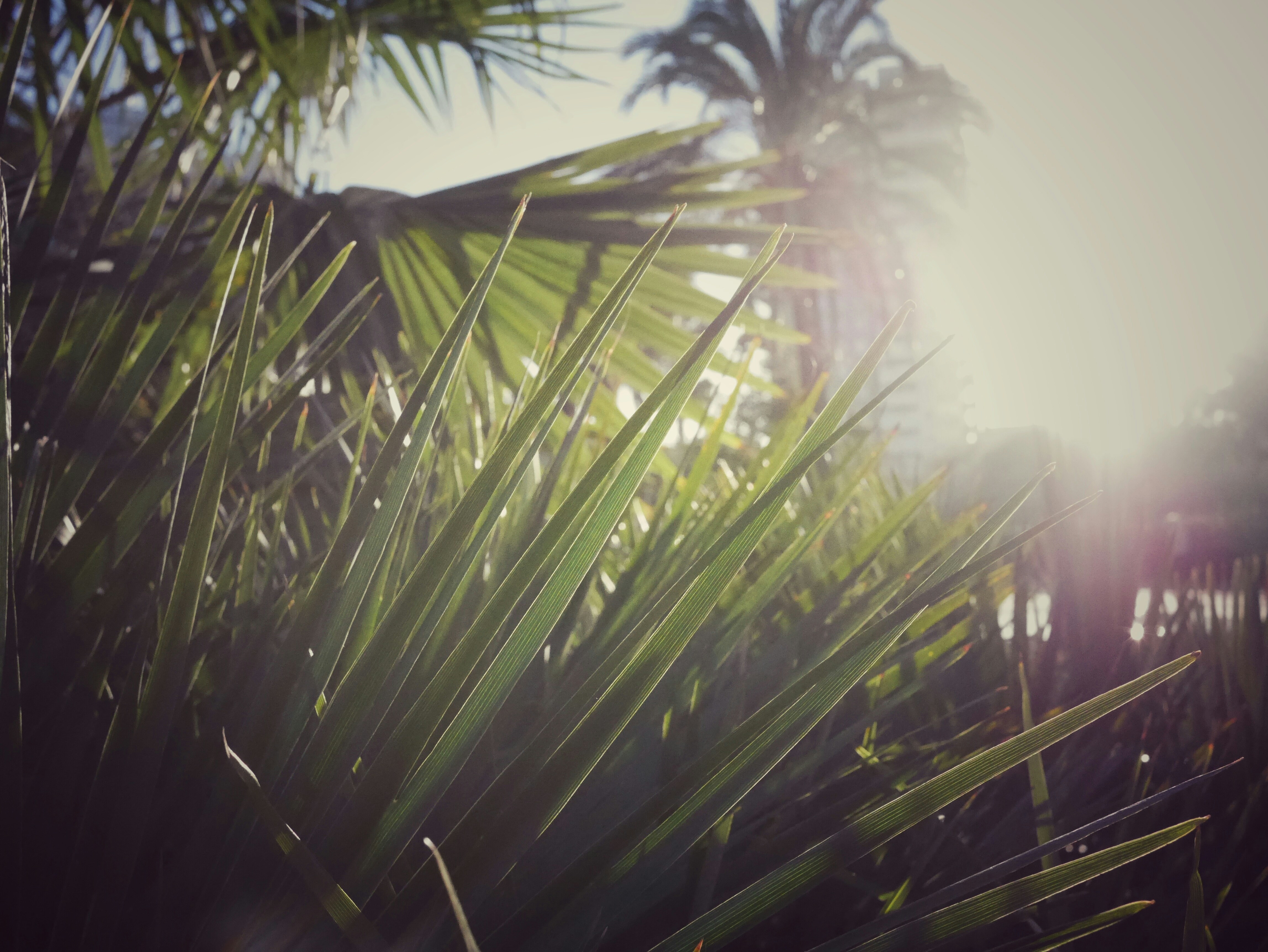 Free Unsplash photo from Álvaro Doladé