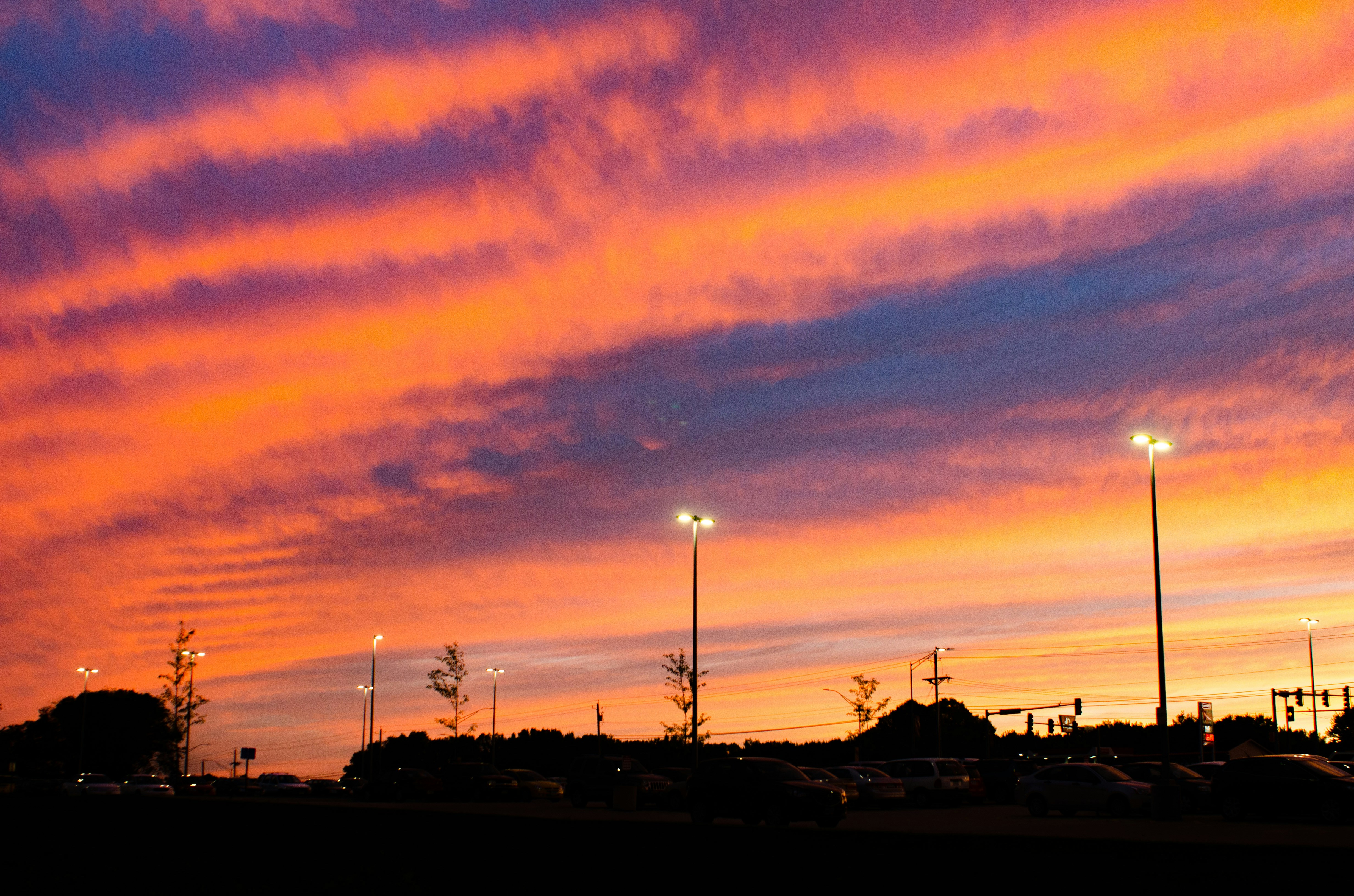 Free Unsplash photo from Christopher Dummer