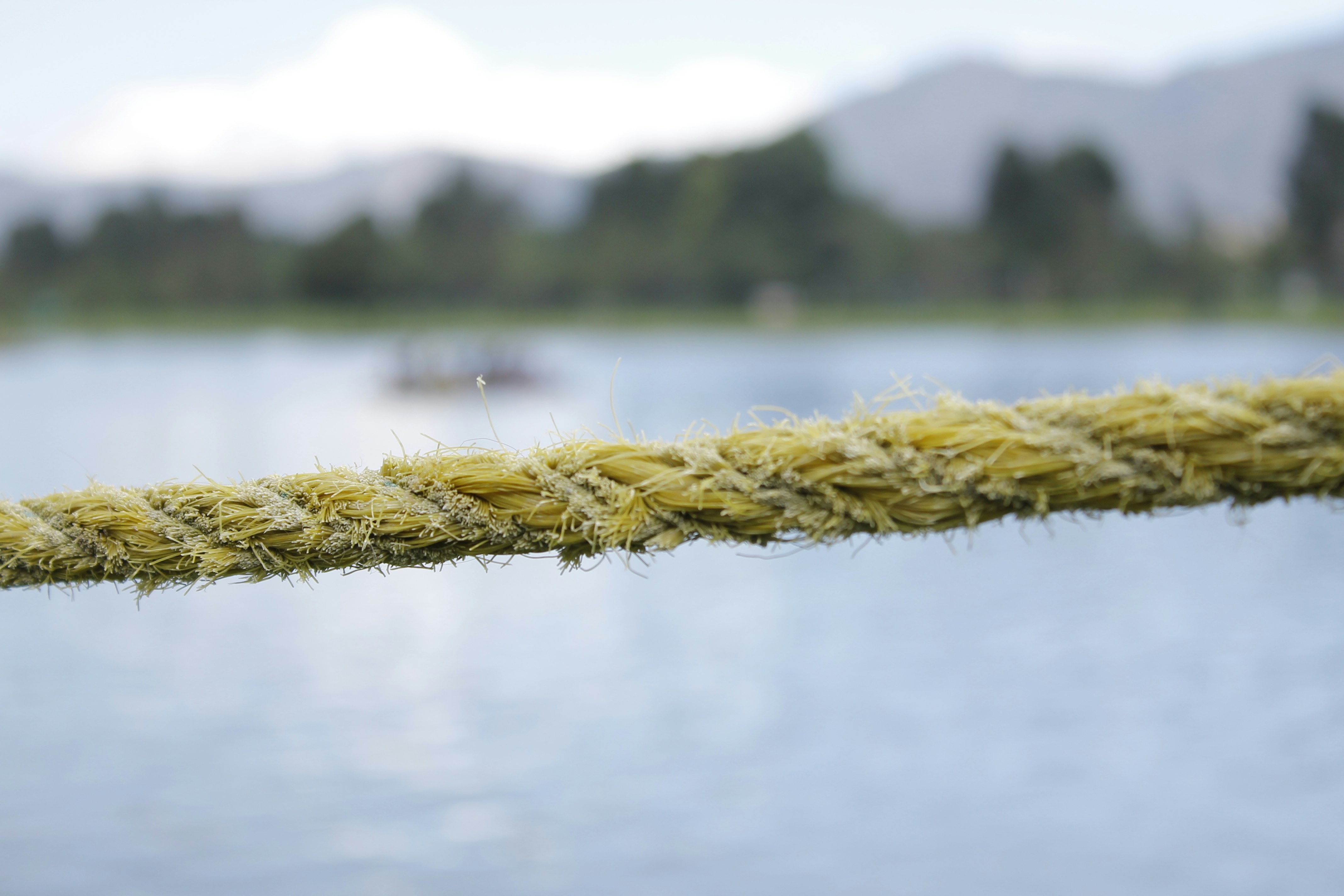 Free Unsplash photo from Yuber Alonso|