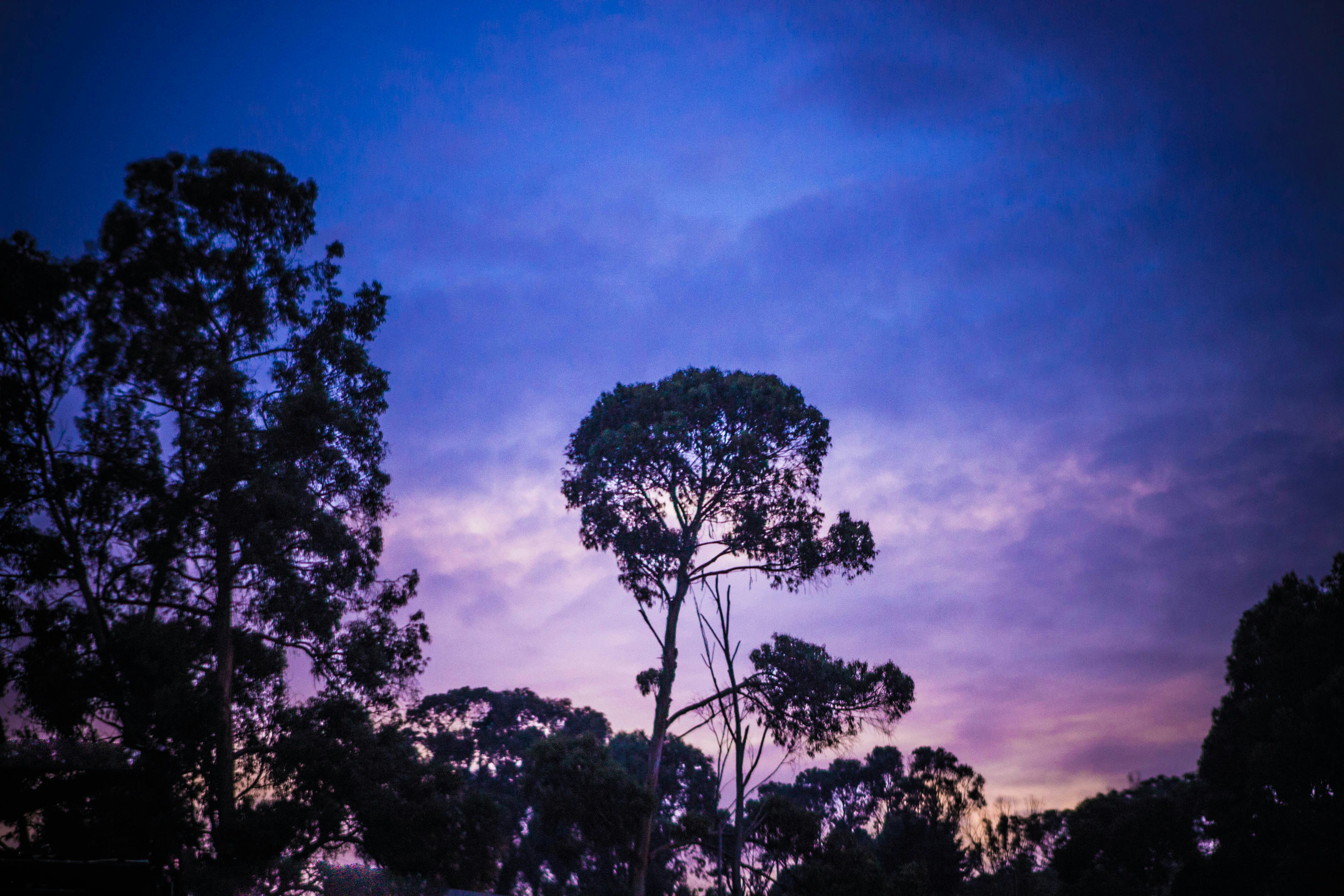 Free Unsplash photo from Yuber Alonso|