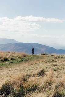 A lone hiker stands on a grassy hilltop, surrounded by rugged mountains under a partly cloudy sky. The landscape has a serene and remote feel, with golden grass swaying gently in the breeze.