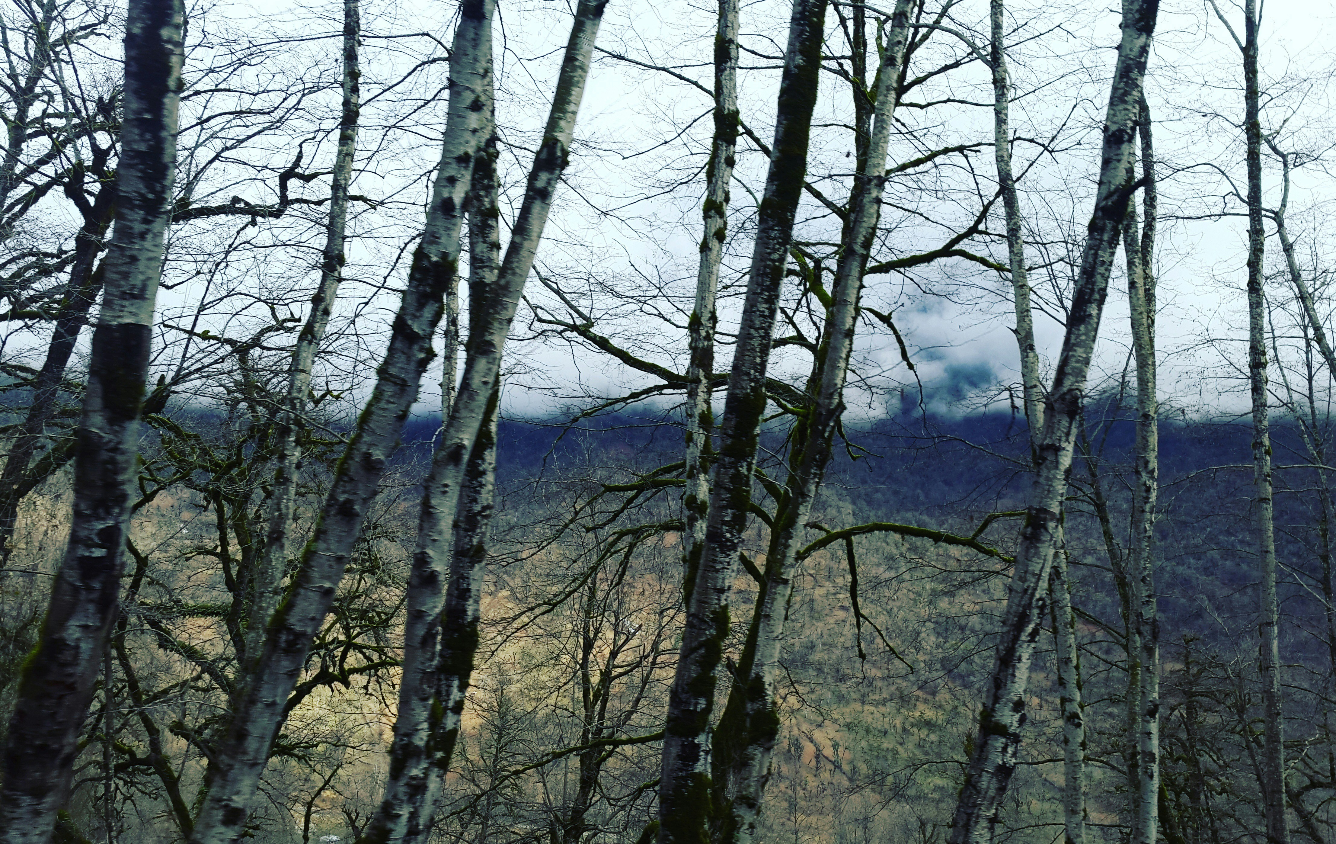 Free Unsplash photo from Farhad Eidi