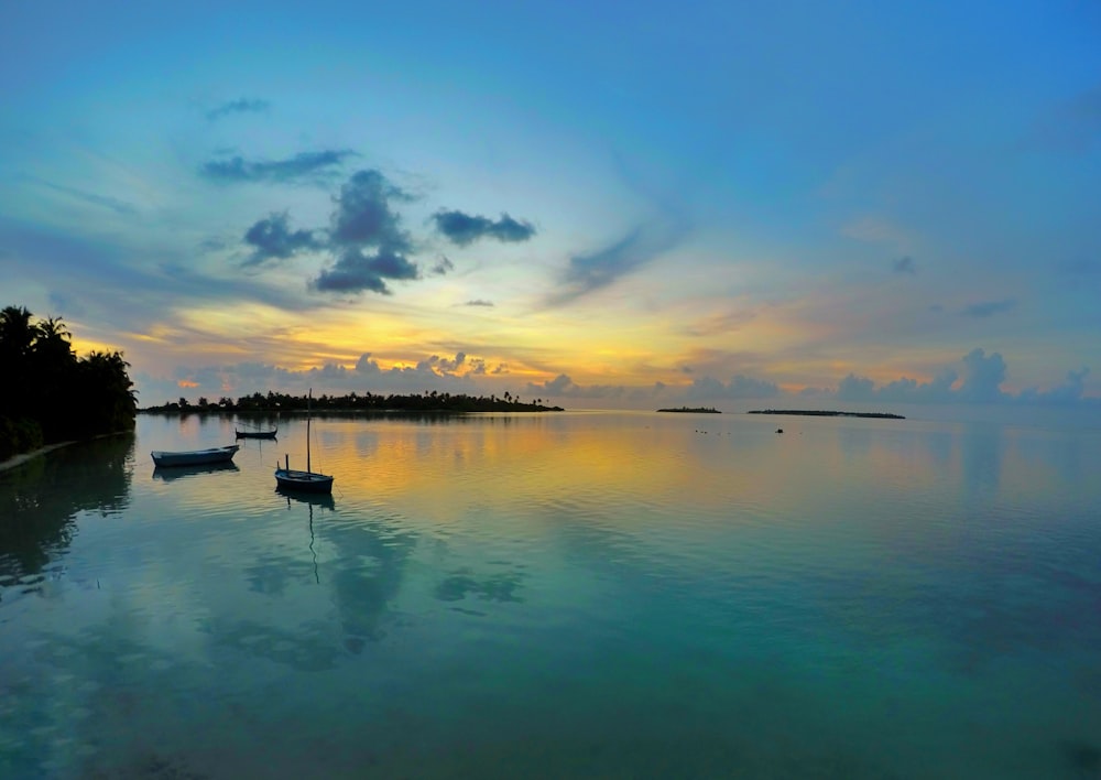 landscape photography of two boats in ocean water near green leafed trees during daytime