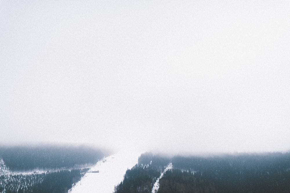 Blick von oben auf einen verschneiten, bewaldeten Hang, der in dichten Nebel gehüllt ist, in Špindlerův Mlýn