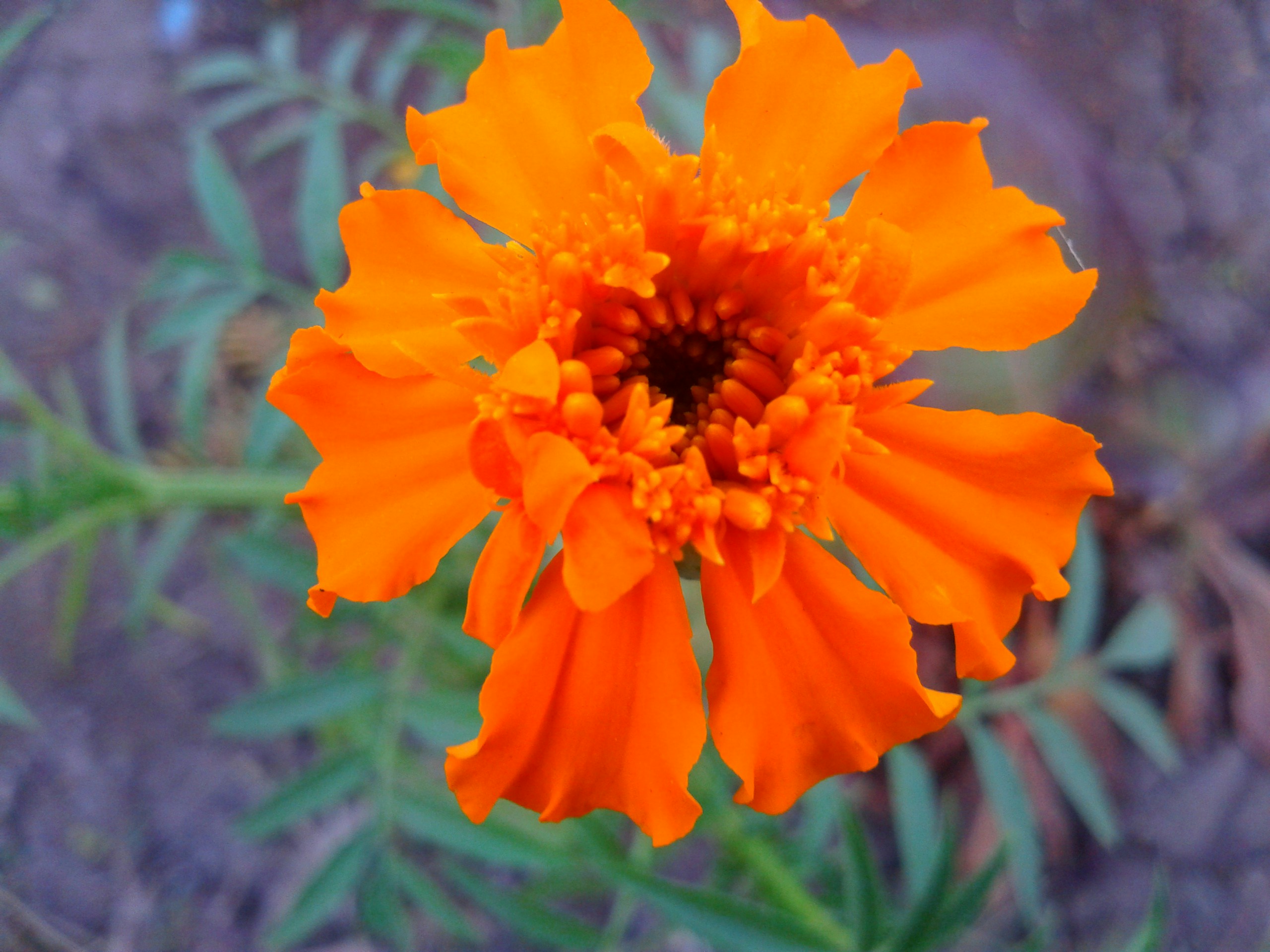 Free Unsplash photo from Ahmed Mahmoud